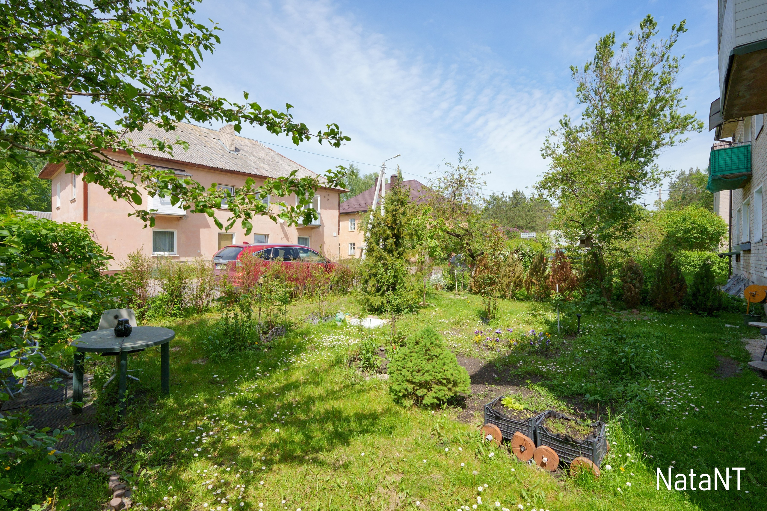 Grigiškės. Elina Sapiega fotografė Vilniuje