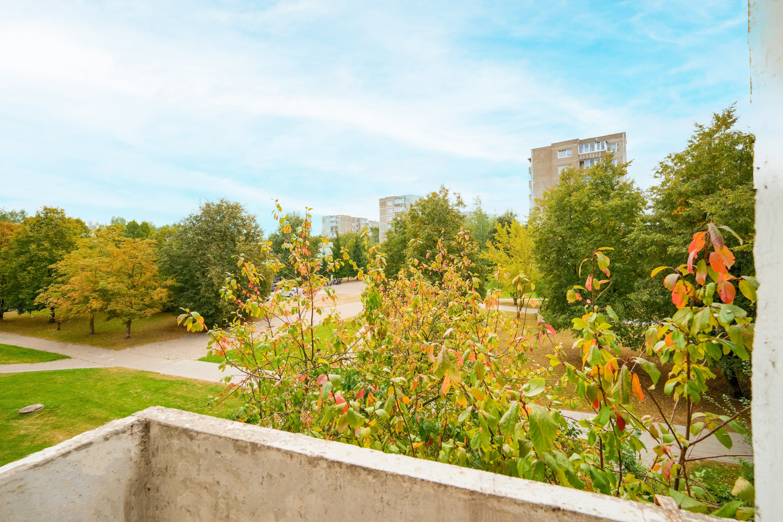 Gelvonų g. 41. Elina Sapiega fotografė Vilniuje
