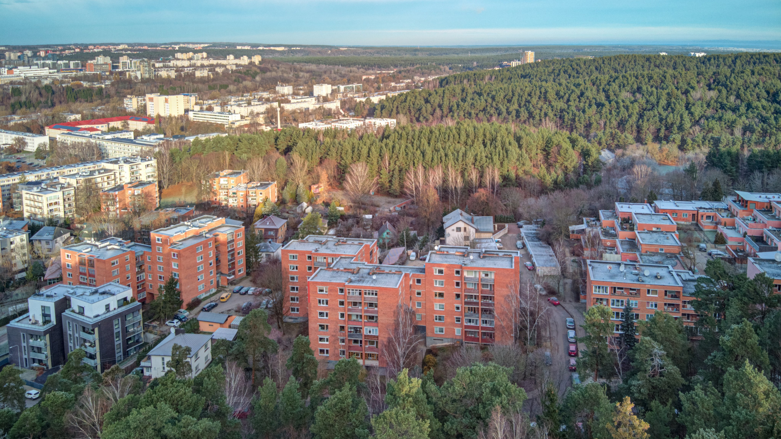 Dronas Antakalnis, Kanklių 10. Elina Sapiega fotografė Vilniuje
