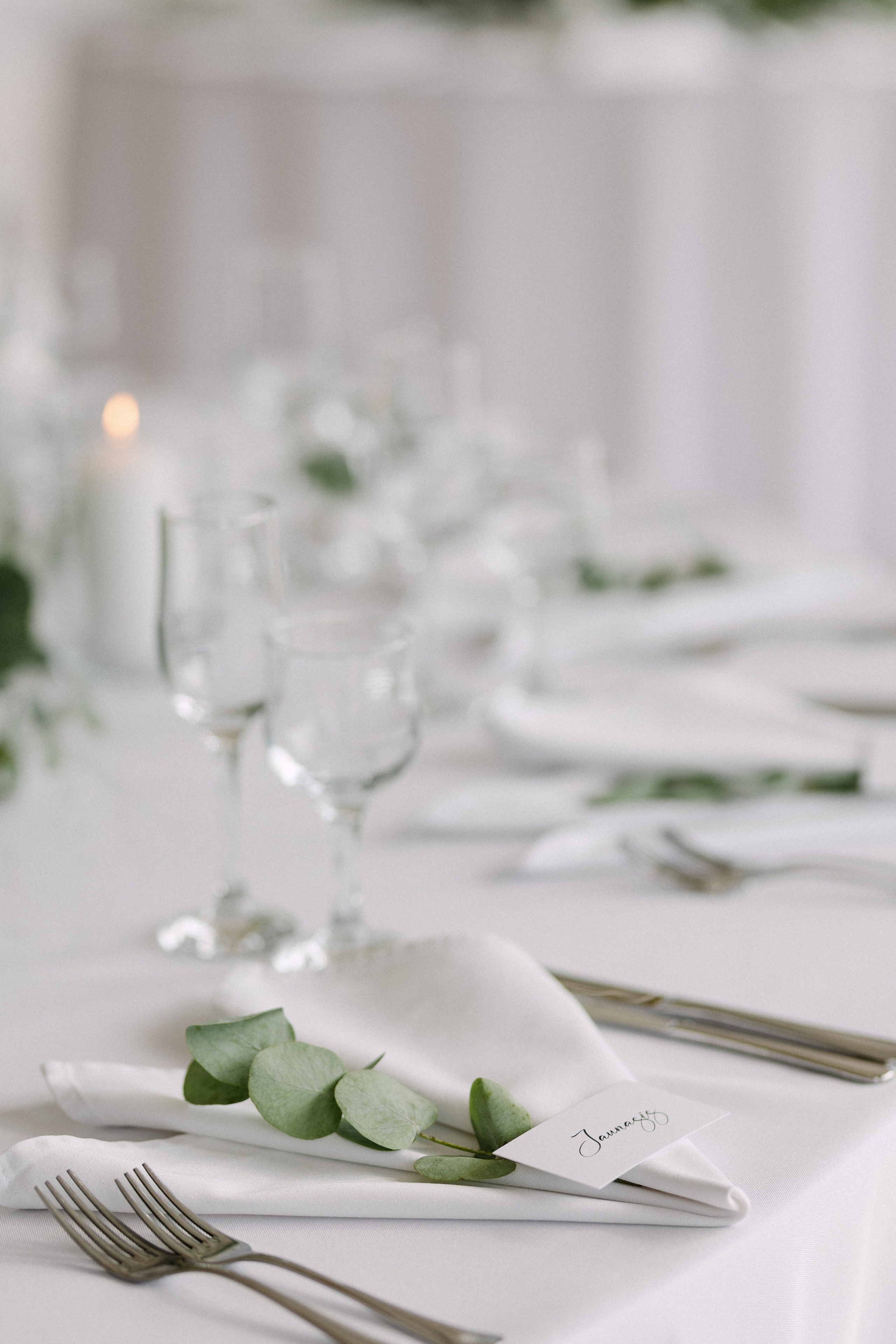 Vestuvės VU Botanikos sode Kairėnuose | Vilma ir Osmundas