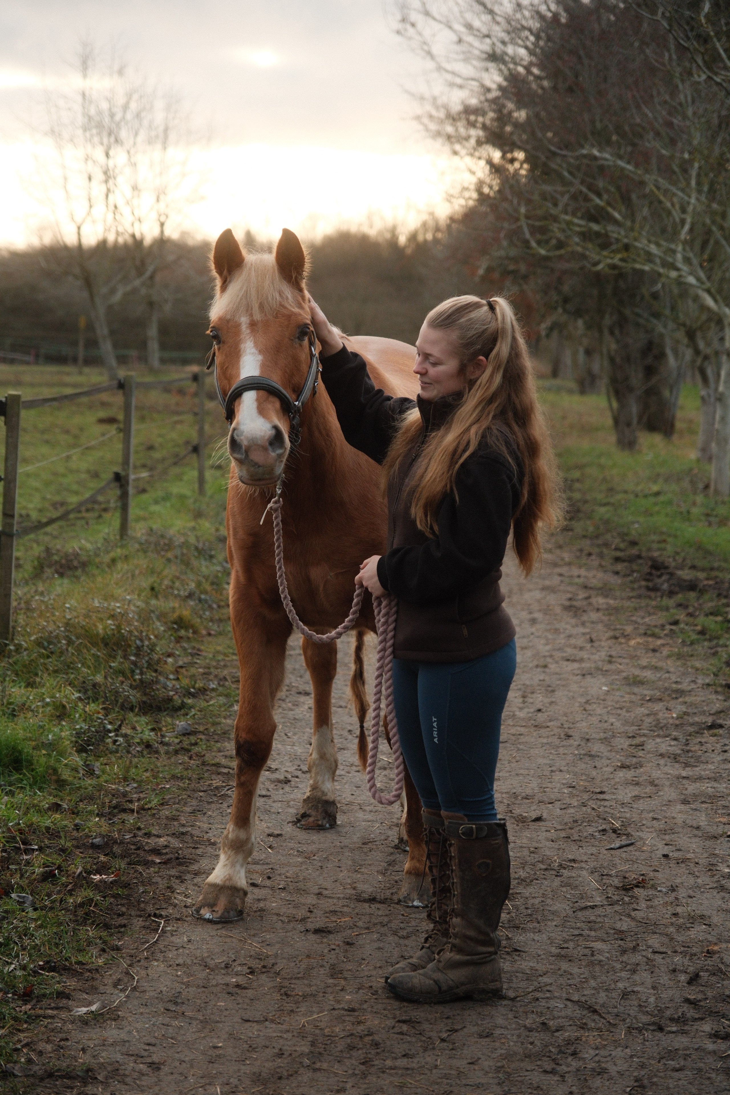 Portrait photography with Fudge the horse. Cal Takes Photos