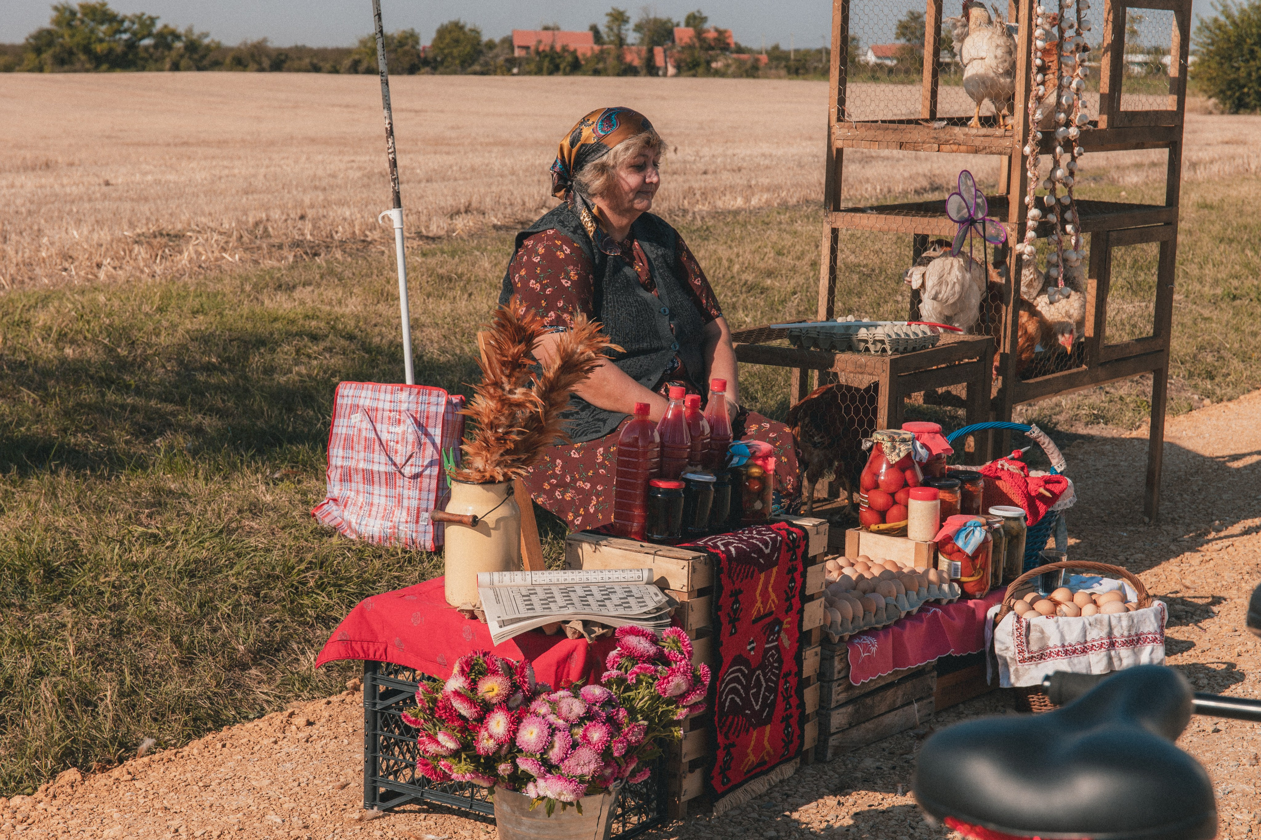 BetBoom. Фотограф Инна Гайнулина