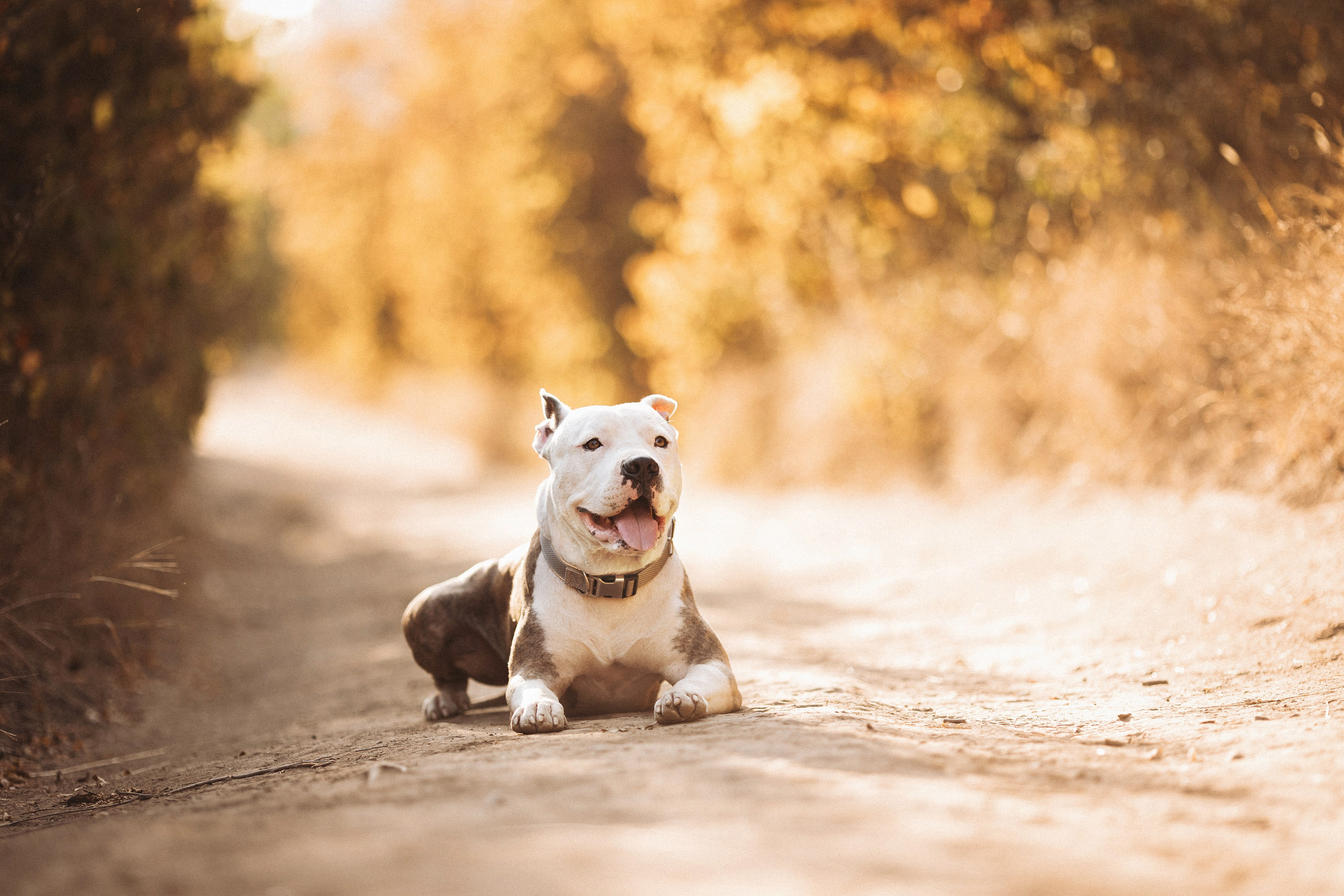 Thor&Ira. Семейный фотограф в Кишинёве Пулькина Ольга