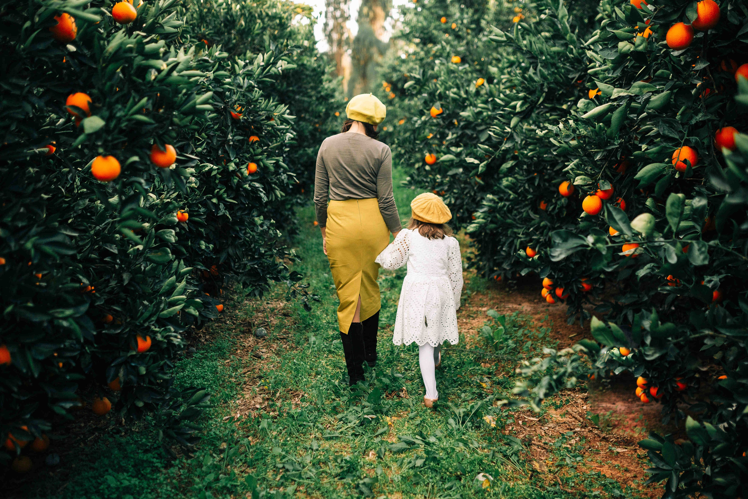 MANDARNINE GARDEN. Https://shi-photo.com/