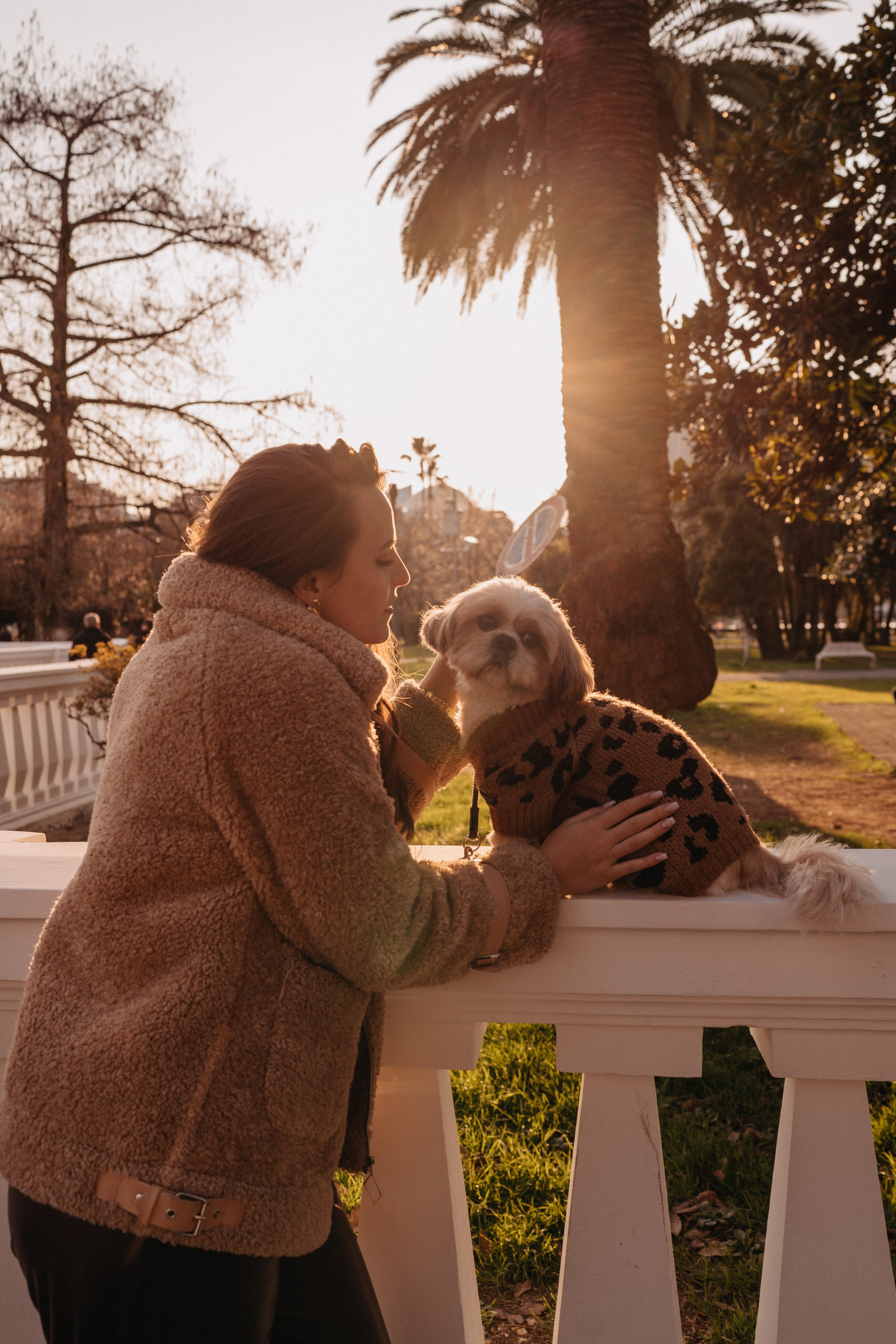 Фотосессия с собакой в Батуми. Портретный и свадебный фотограф в Батуми Валерия Азаренко