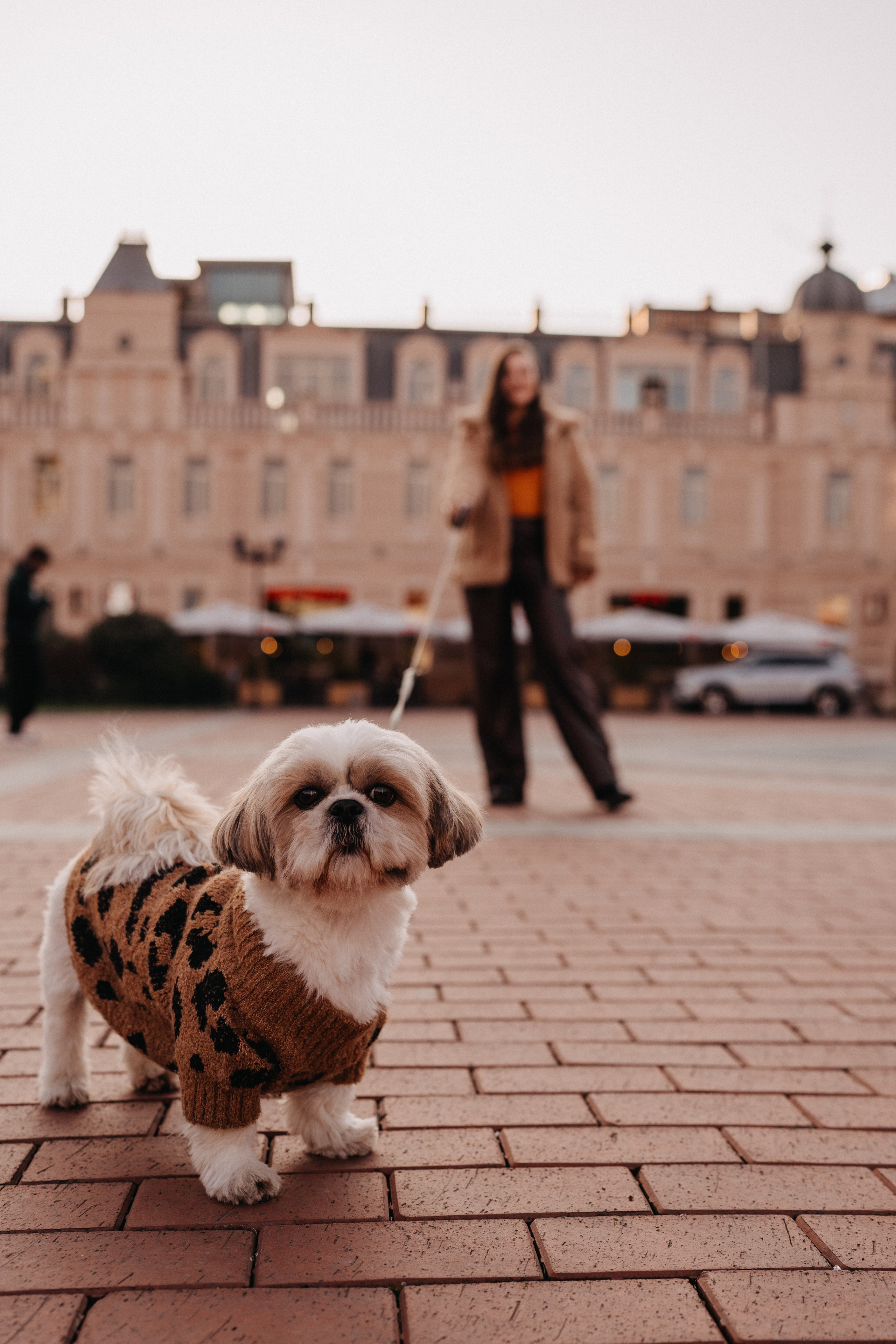 Фотосессия с собакой в Батуми. Портретный и свадебный фотограф в Батуми Валерия Азаренко