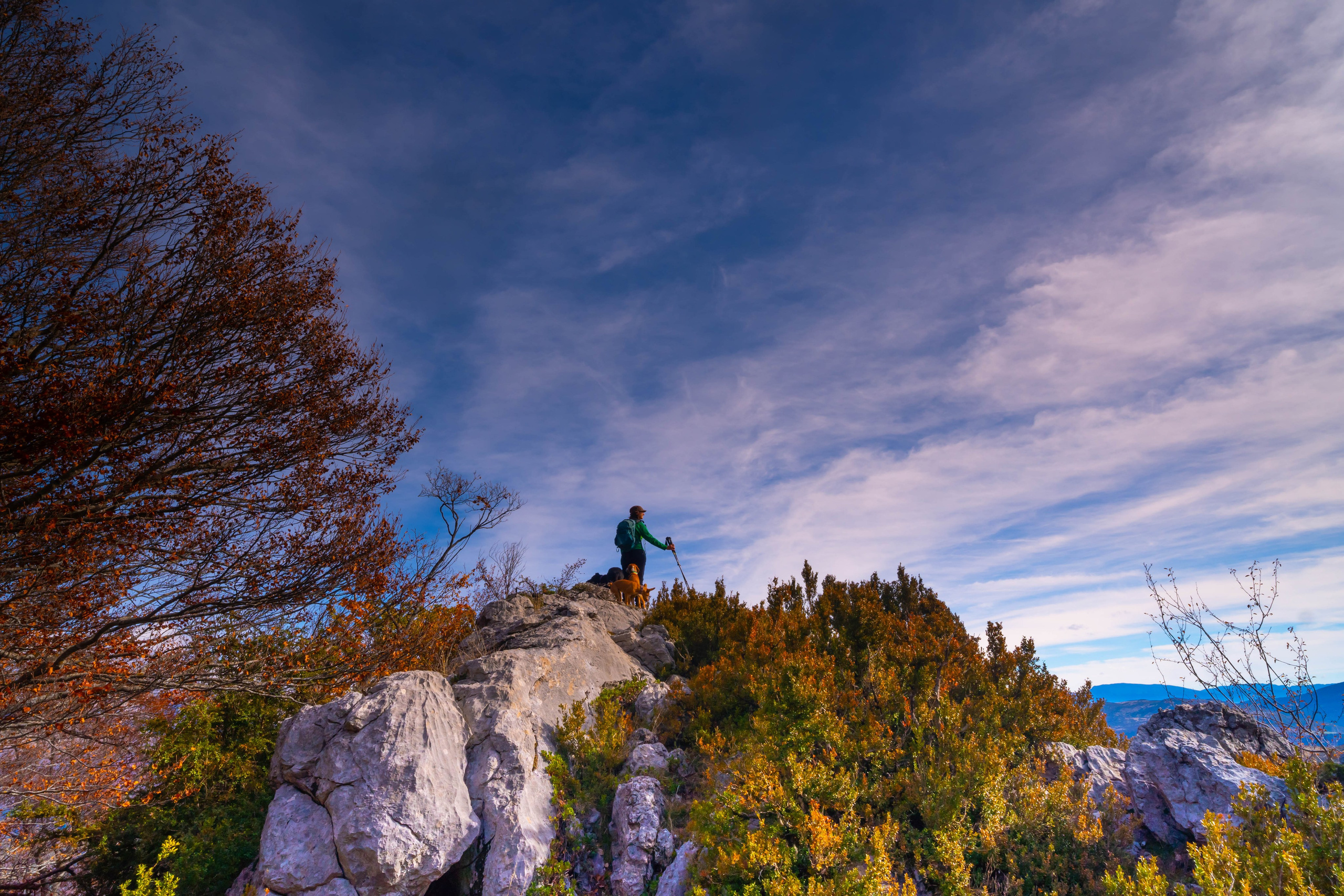 Ruta Otoño. Alba del Norte Studio