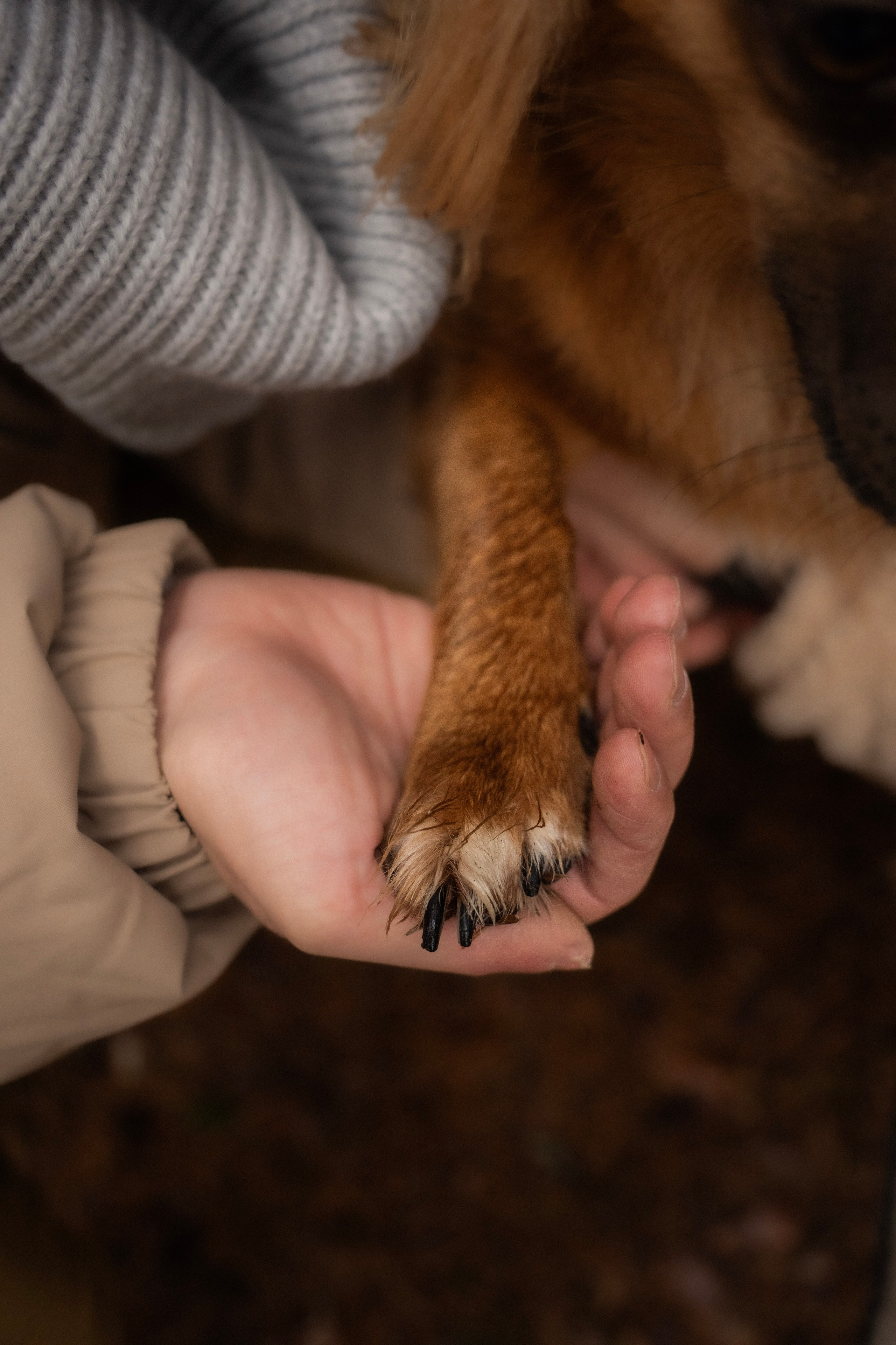 Irina and Oleg. Everwarm Photo and Video Studio