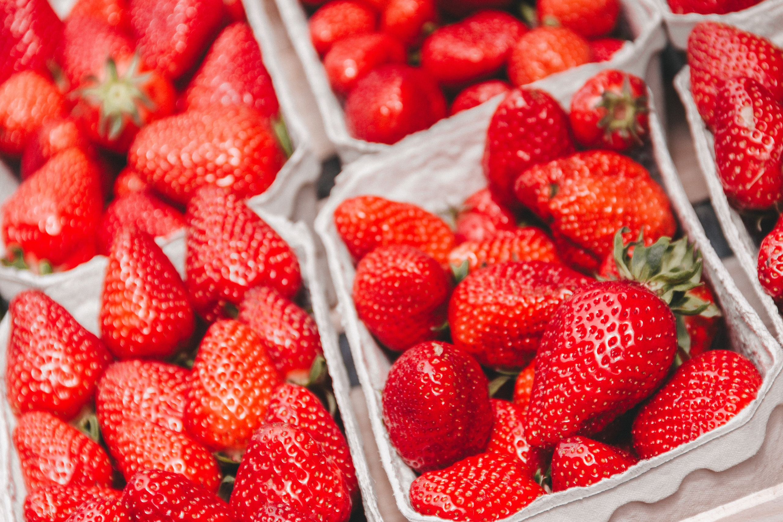 Oberkircher Erdbeerfest. Maria Chistyakovа — Fotografin in Karlsruhe, Baden-Baden und Umgebung