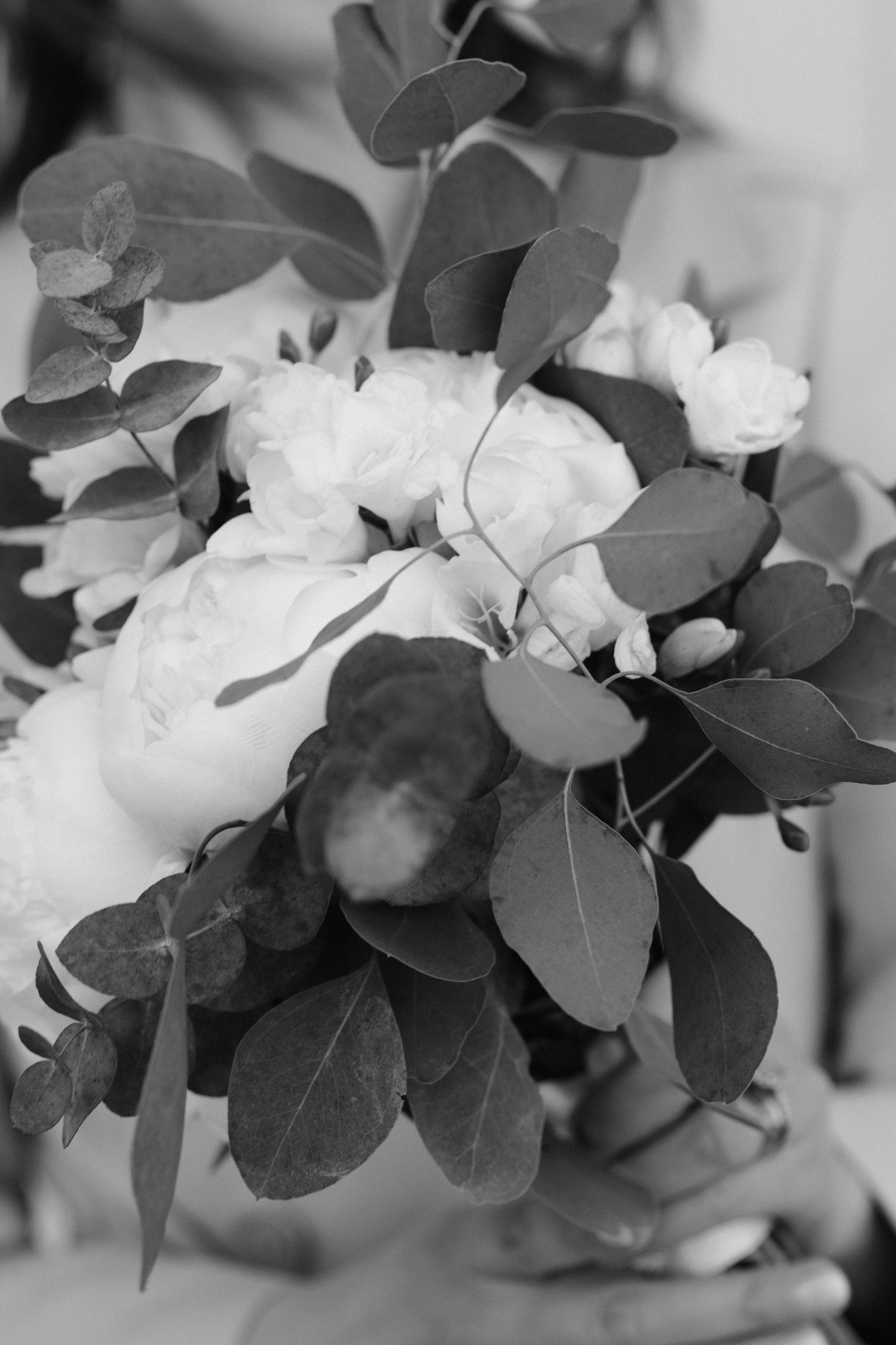 Monika ir Vytautas — miestu alsuojanti trumpa jaunųjų fotosesija Kaune