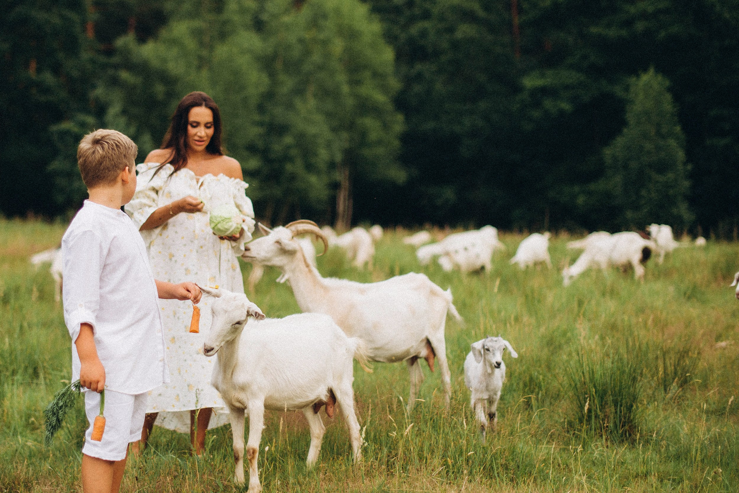 Беременность на природе. Семейный фотограф Лейпциг, Германия