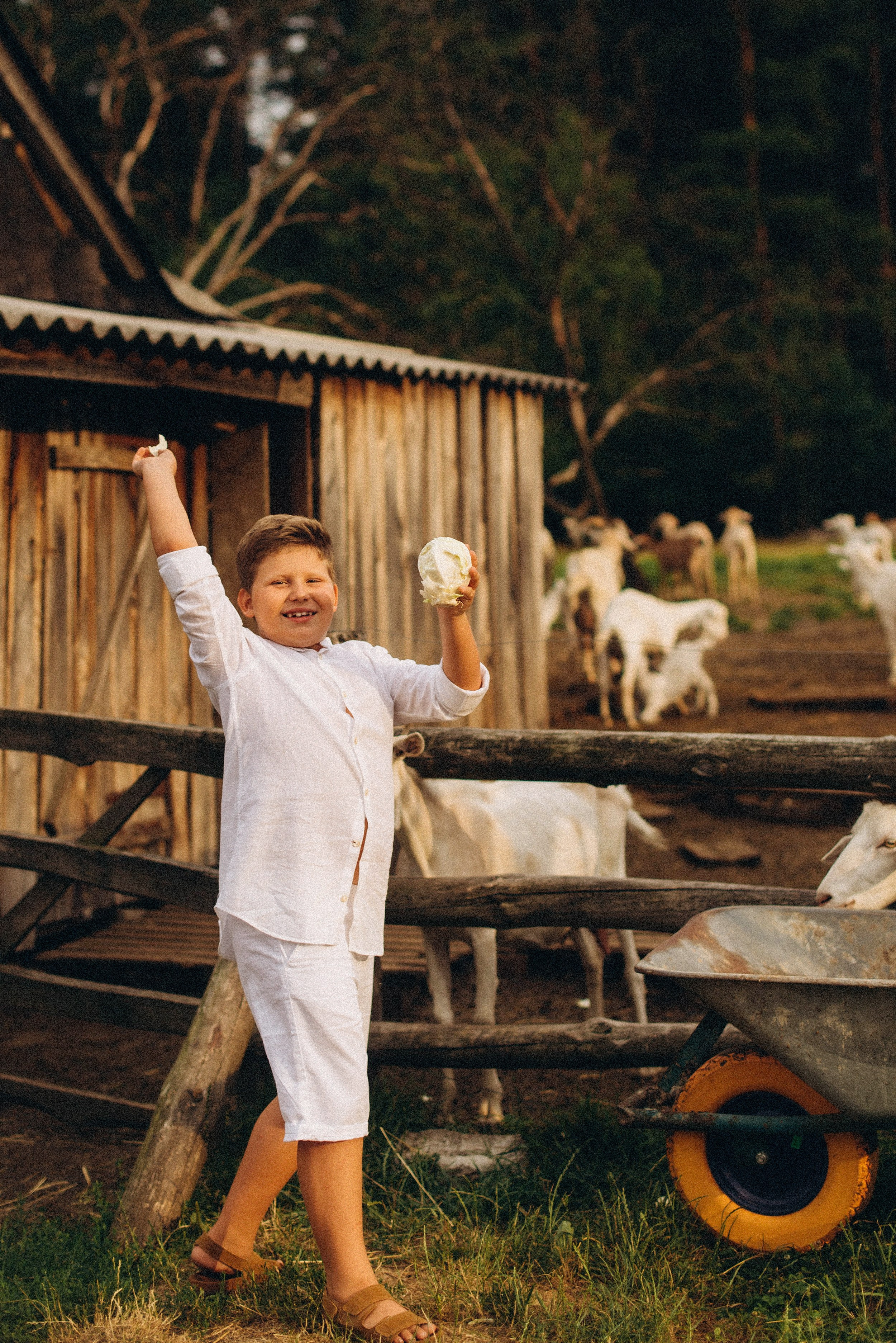 Беременность на природе. Семейный фотограф Лейпциг, Германия