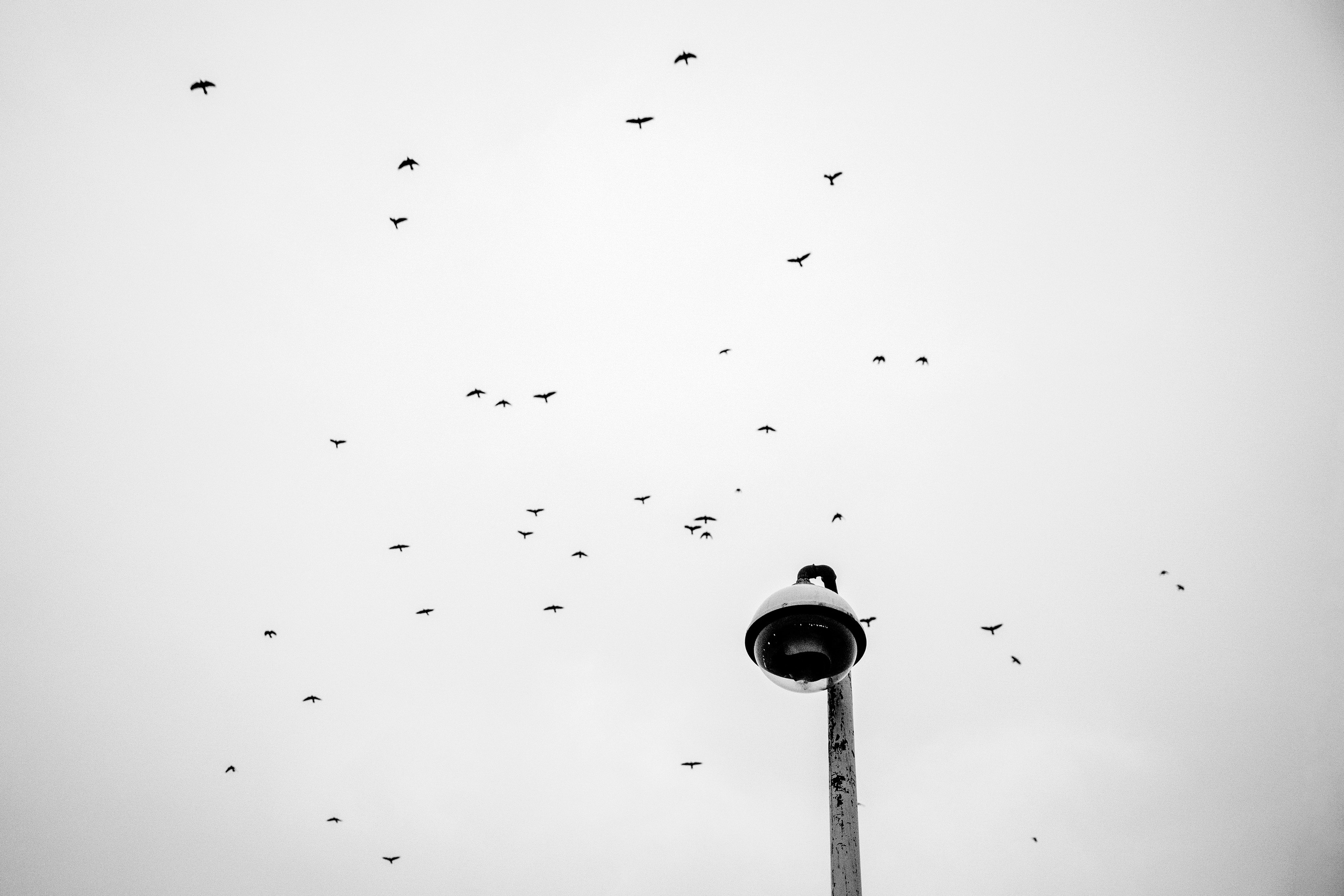 Friends or foes. Maija Bondar Photographer