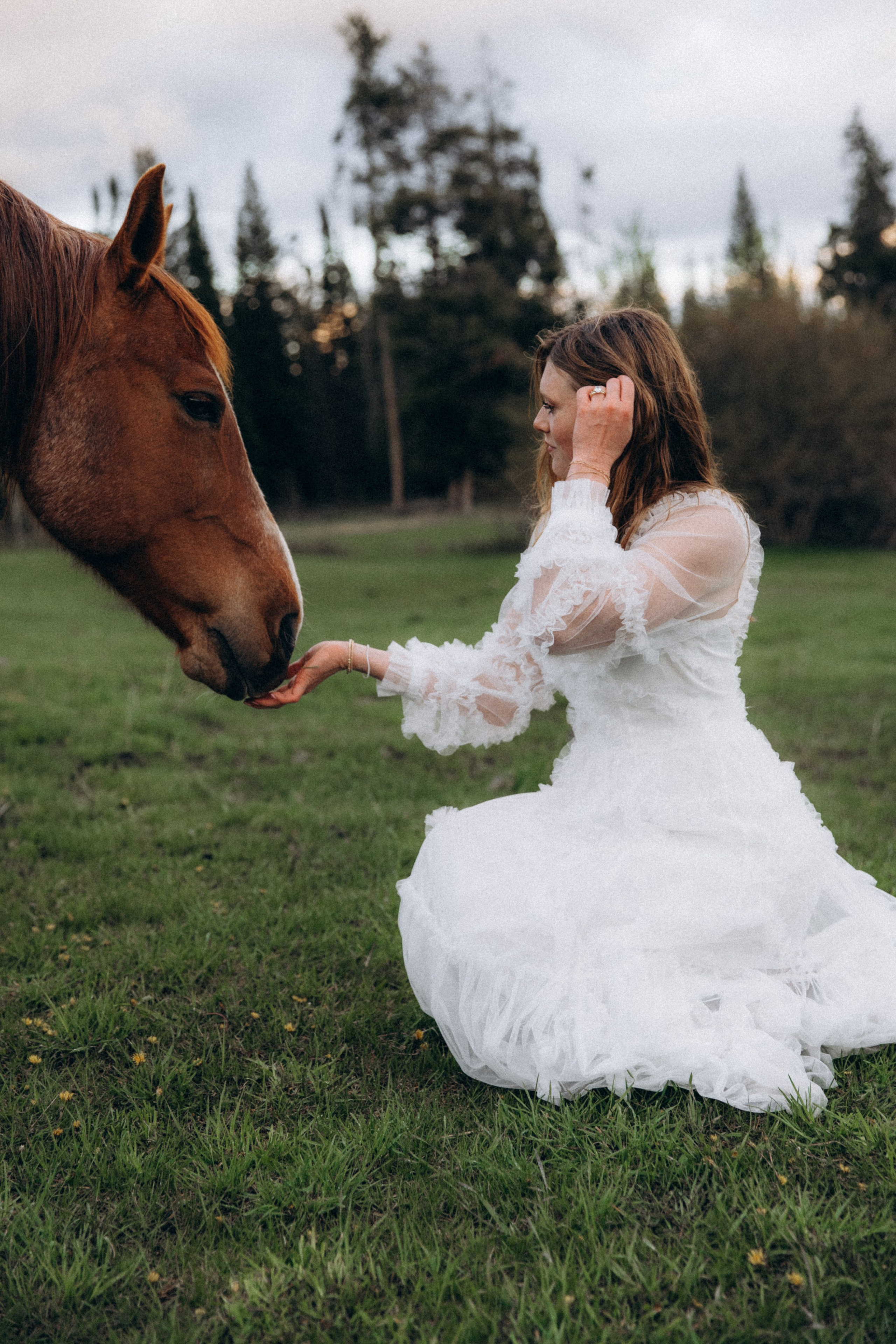 Siena & Aaron | Elopement in Wyoming