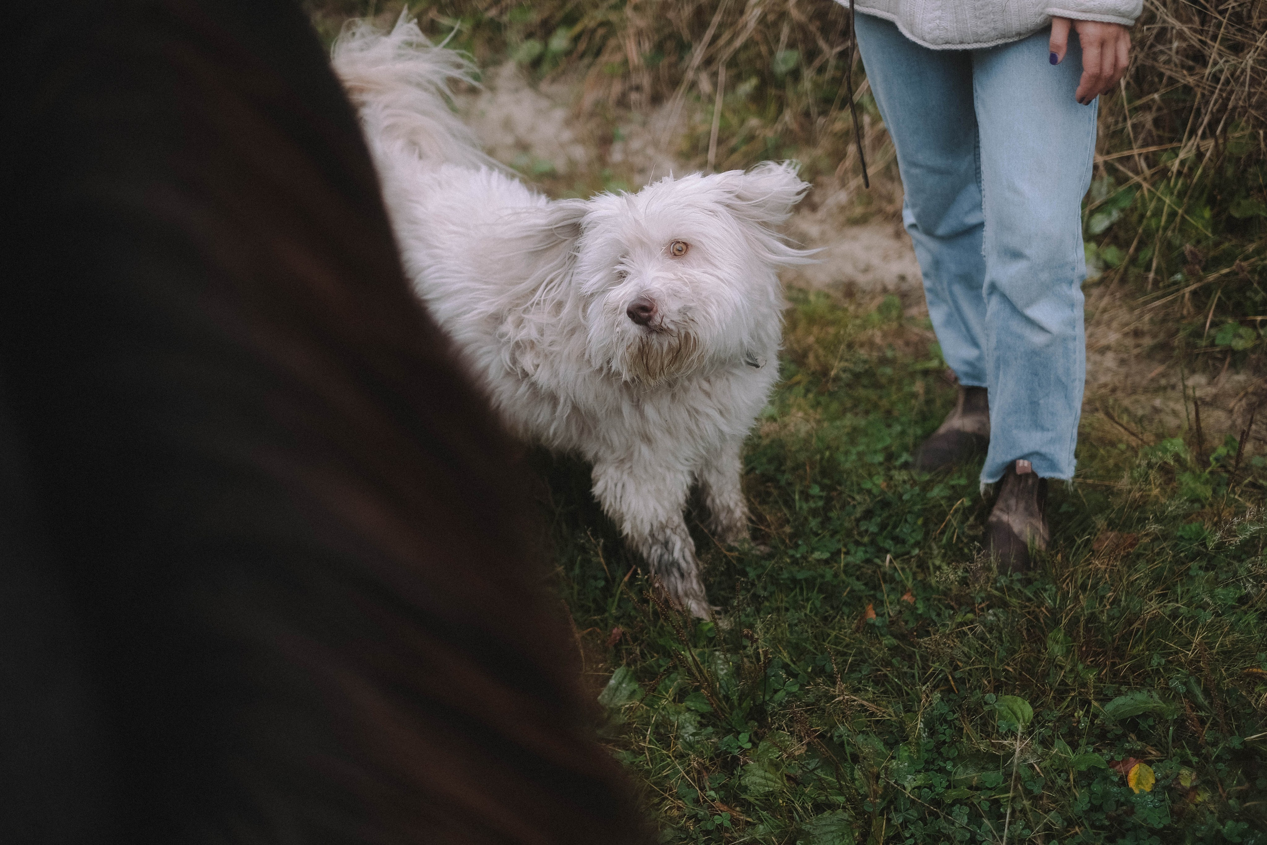 Paula, Fynn&Steve. Authentische Familienfotografie in Köln