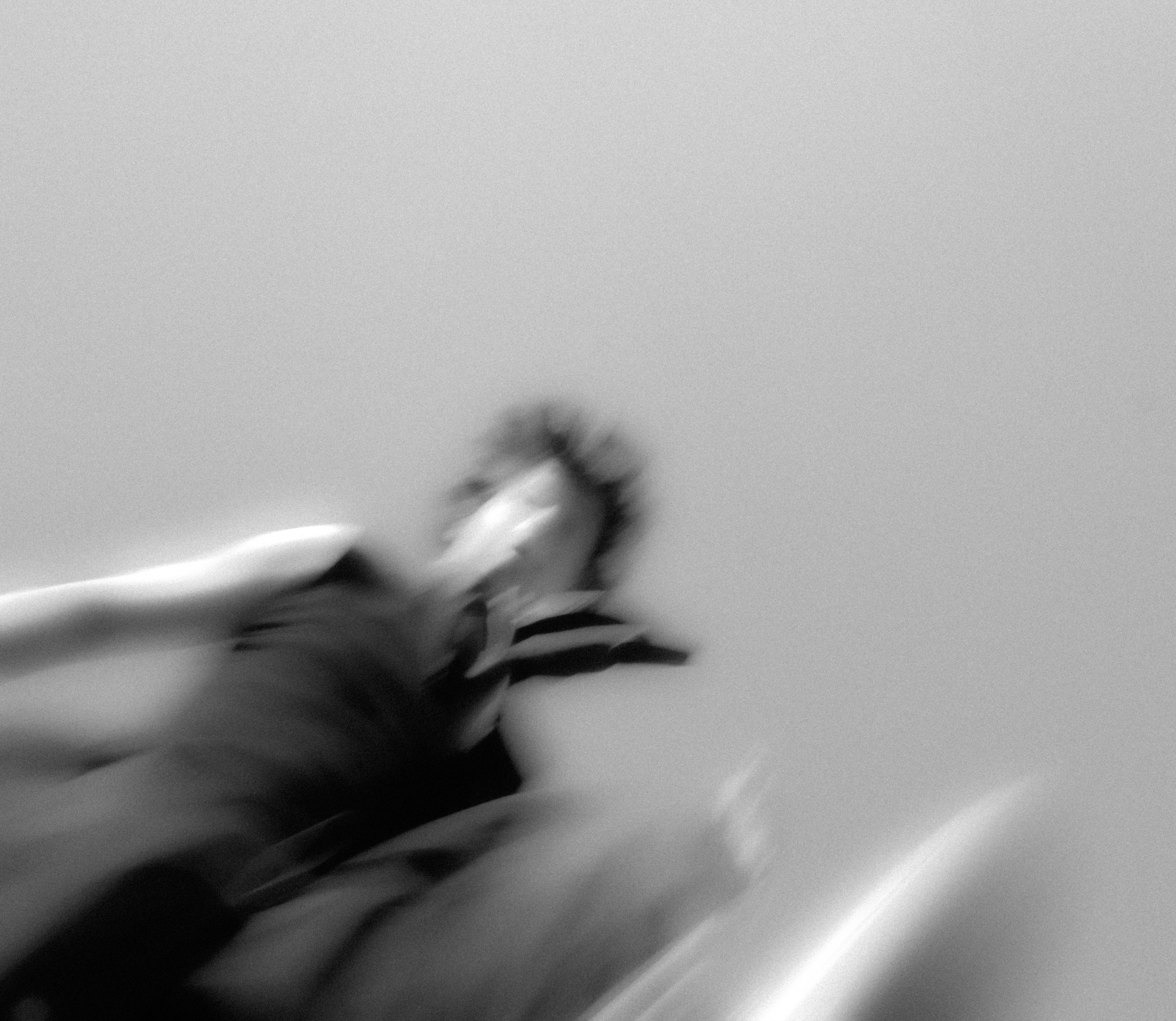 Demyd — art collection