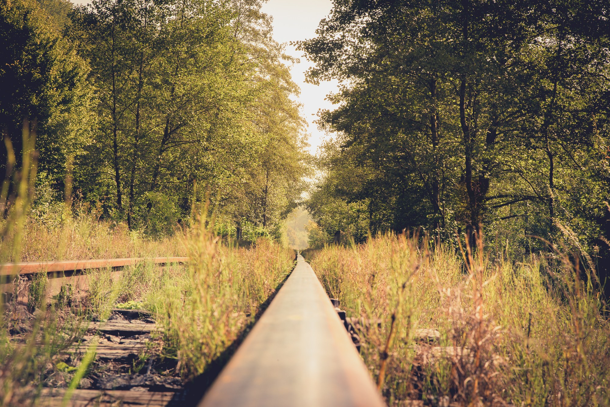 Peisaj /natura. Daniel Criste Fotograf