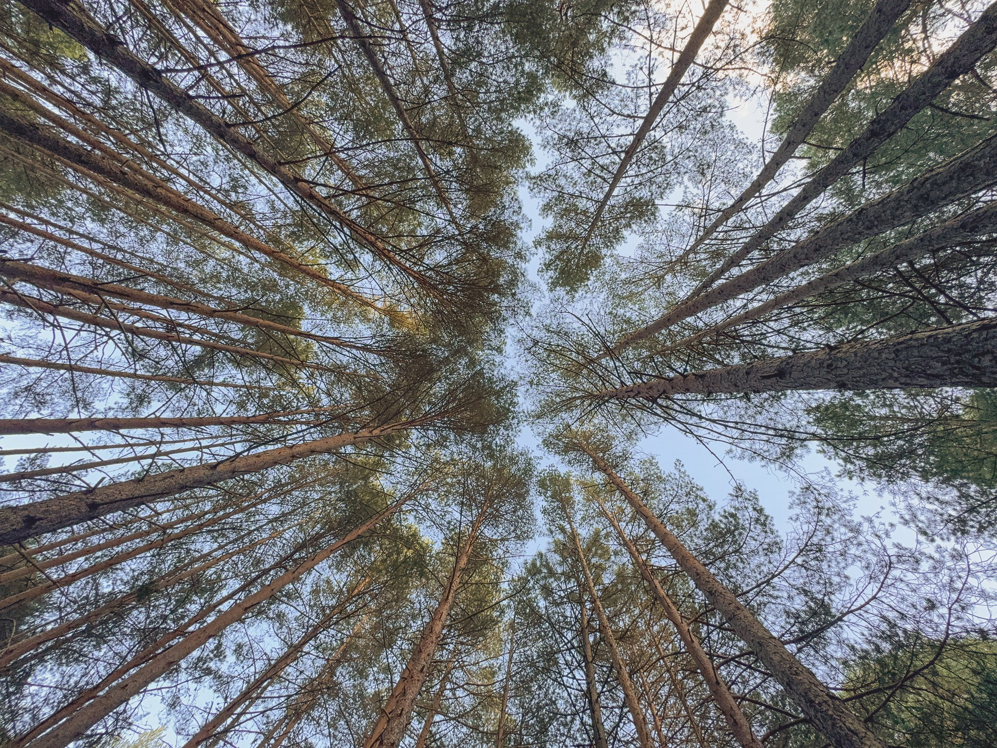 Peisaj /natura. Daniel Criste Fotograf