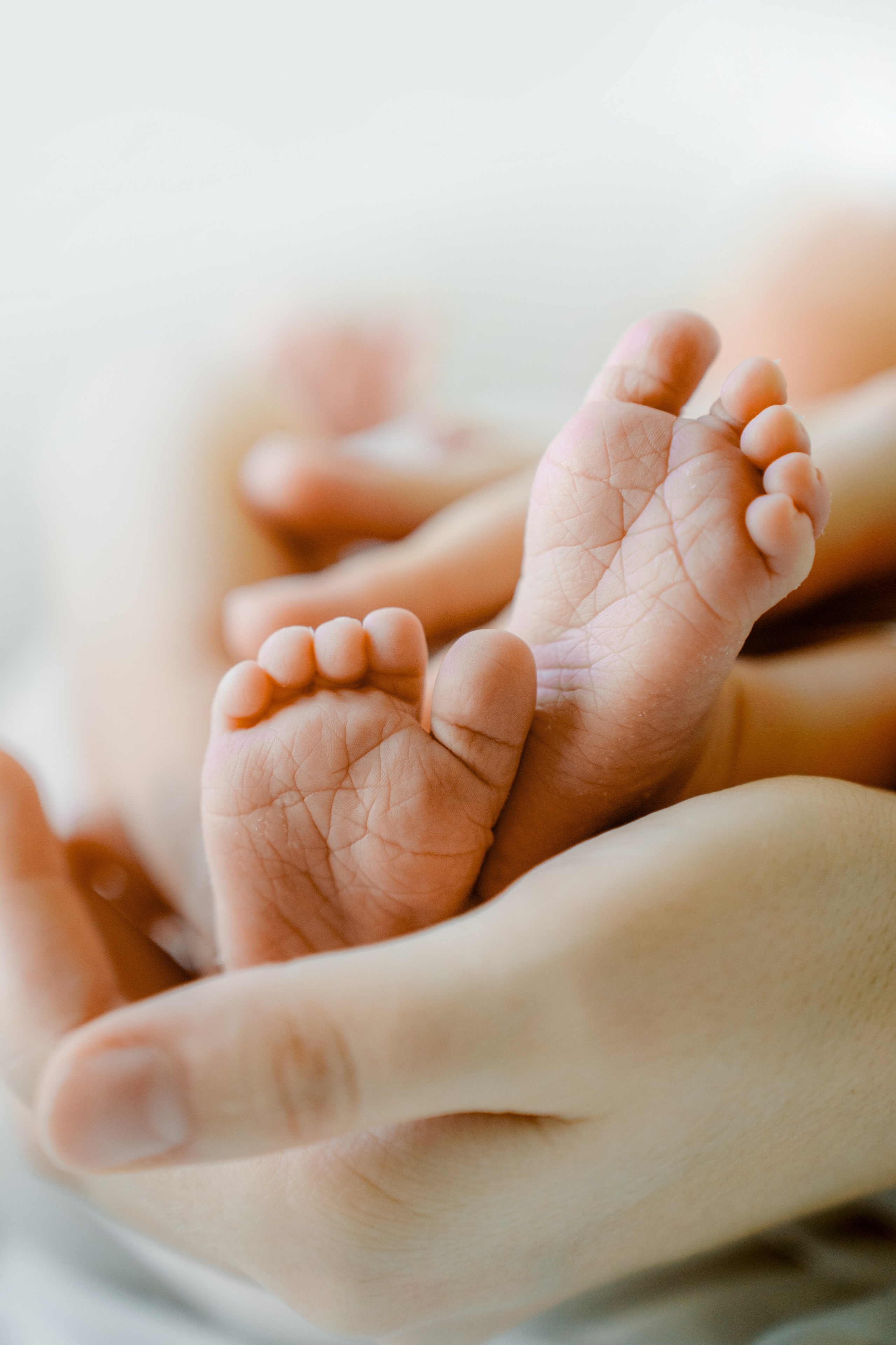 New born. Photographer in Portugal Polina Gotovaya