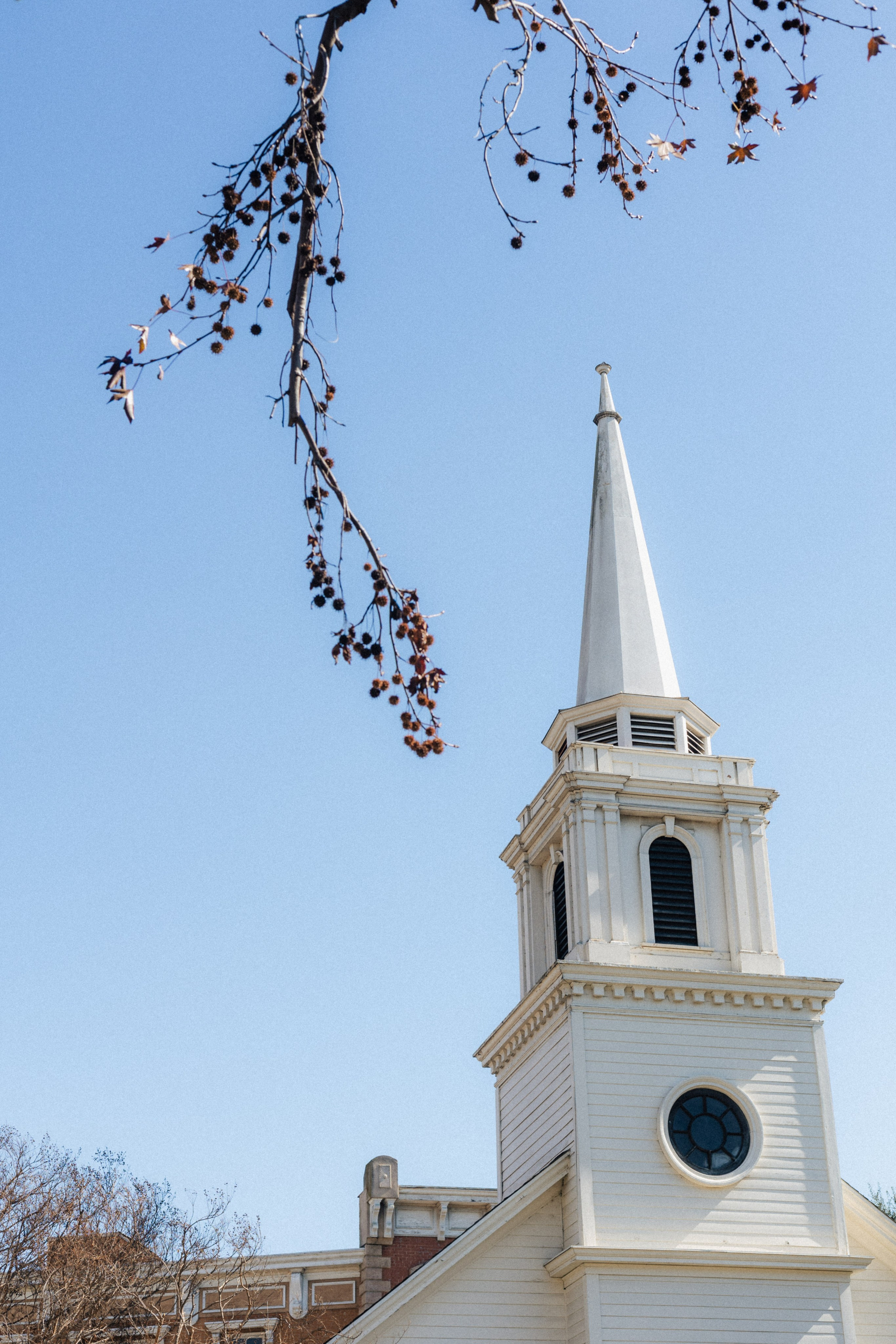 Los Angeles. Aleks.photo | Book a photoshoot