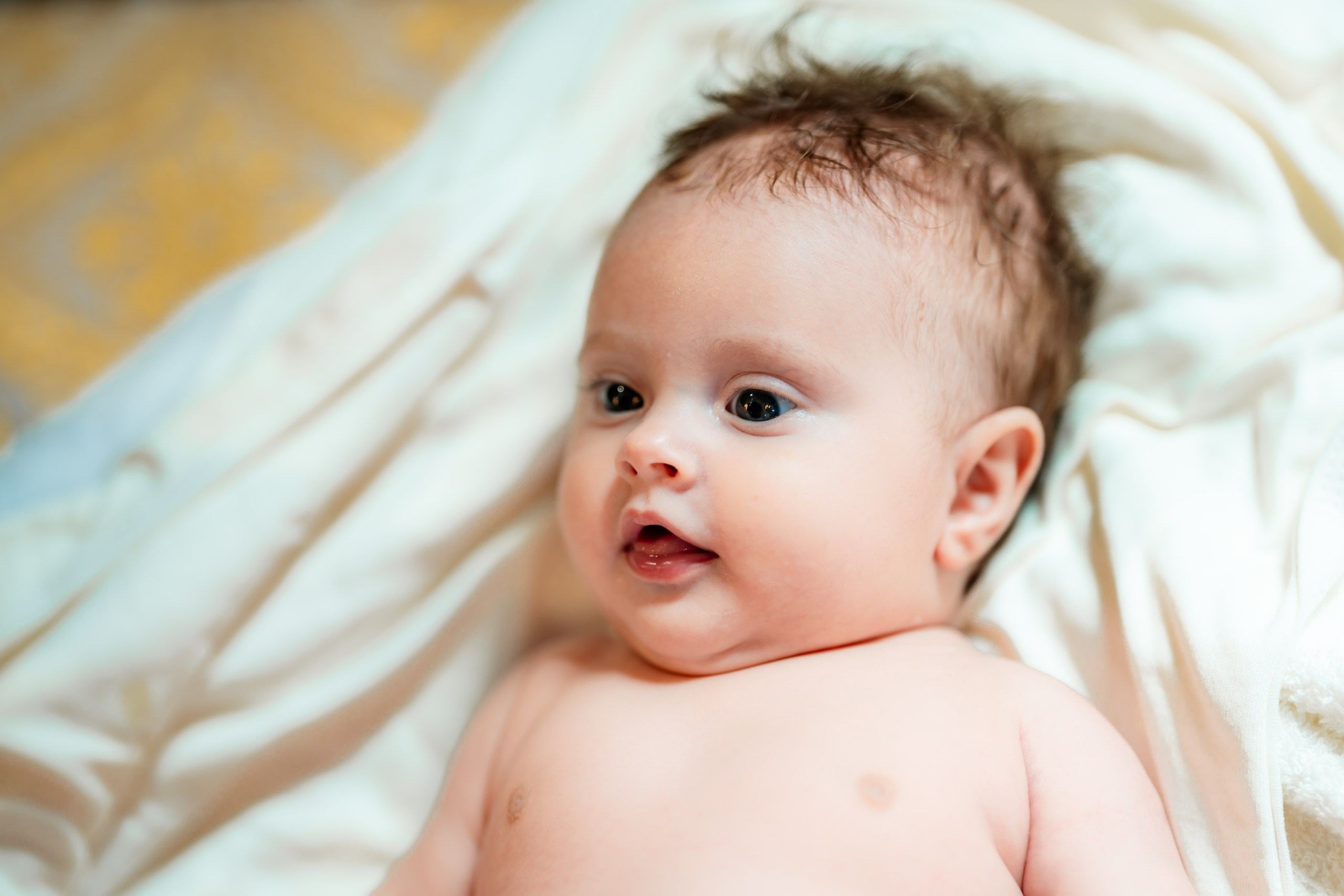 fotograf botez Miruna Parascheva, fotografie botez Botoșani, fotograf Alin Chirilă, amintiri botez, fotografii botez, botez Miruna Parascheva, fotograf copii, fotografie botez în Botoșani-alt="botez Miruna Parascheva, fotografie botez Alin Chirilă, amintiri botez, fotografii emoționante botez Botoșani"-- fotografii-botez-bebelus- amintiri-botez-micuț- moment-sfânt-crestinare- fotografie-emotionanta-botez- detalii-botez-bebelusi- parinti-fericiti-la-botez- fotograf-botez-profesionist- botez-in-biserica-ortodoxa- micuț-botezat-cu-emoție- zâmbete-și-lacrimi-la-botez- bebeluș-la-cristelniță- decor-botez-colorat- botez-cu-dragoste-și-credință- emotie-pura-la-botez- fotograf-botez-botosani- botez-iasi-suceava-fotograf- amintiri-nepretuite-botez