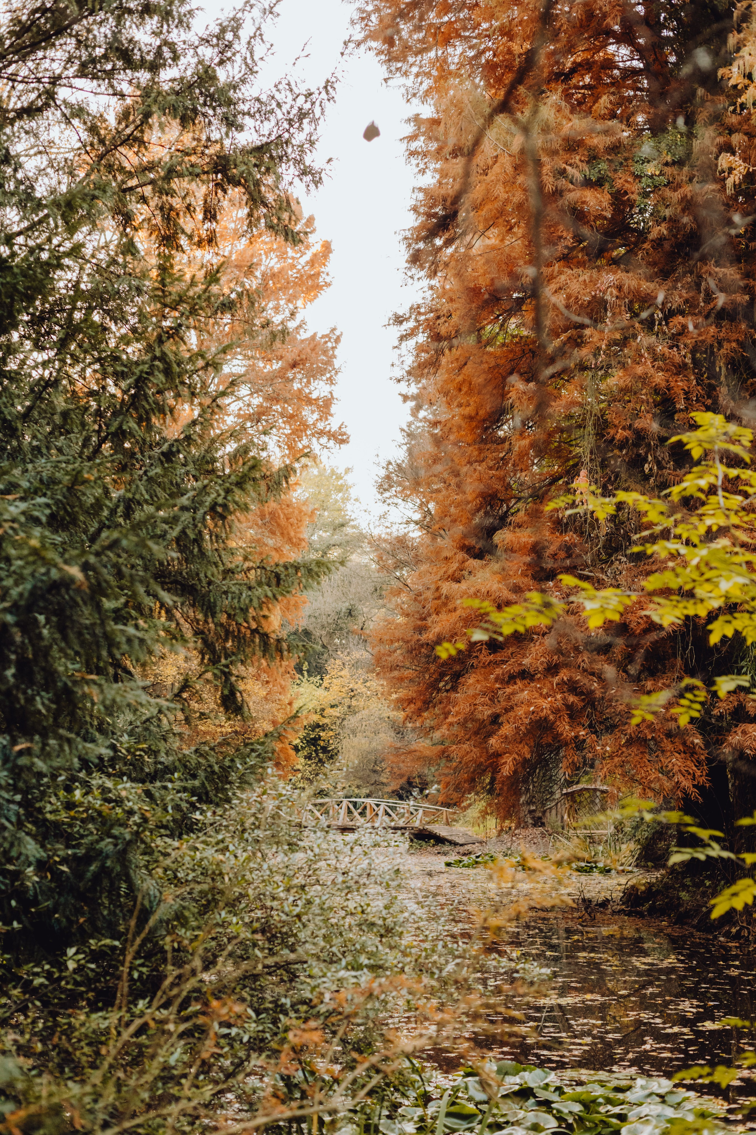 Bisma. Wedding & couple photographer from Romania Rut Vetan