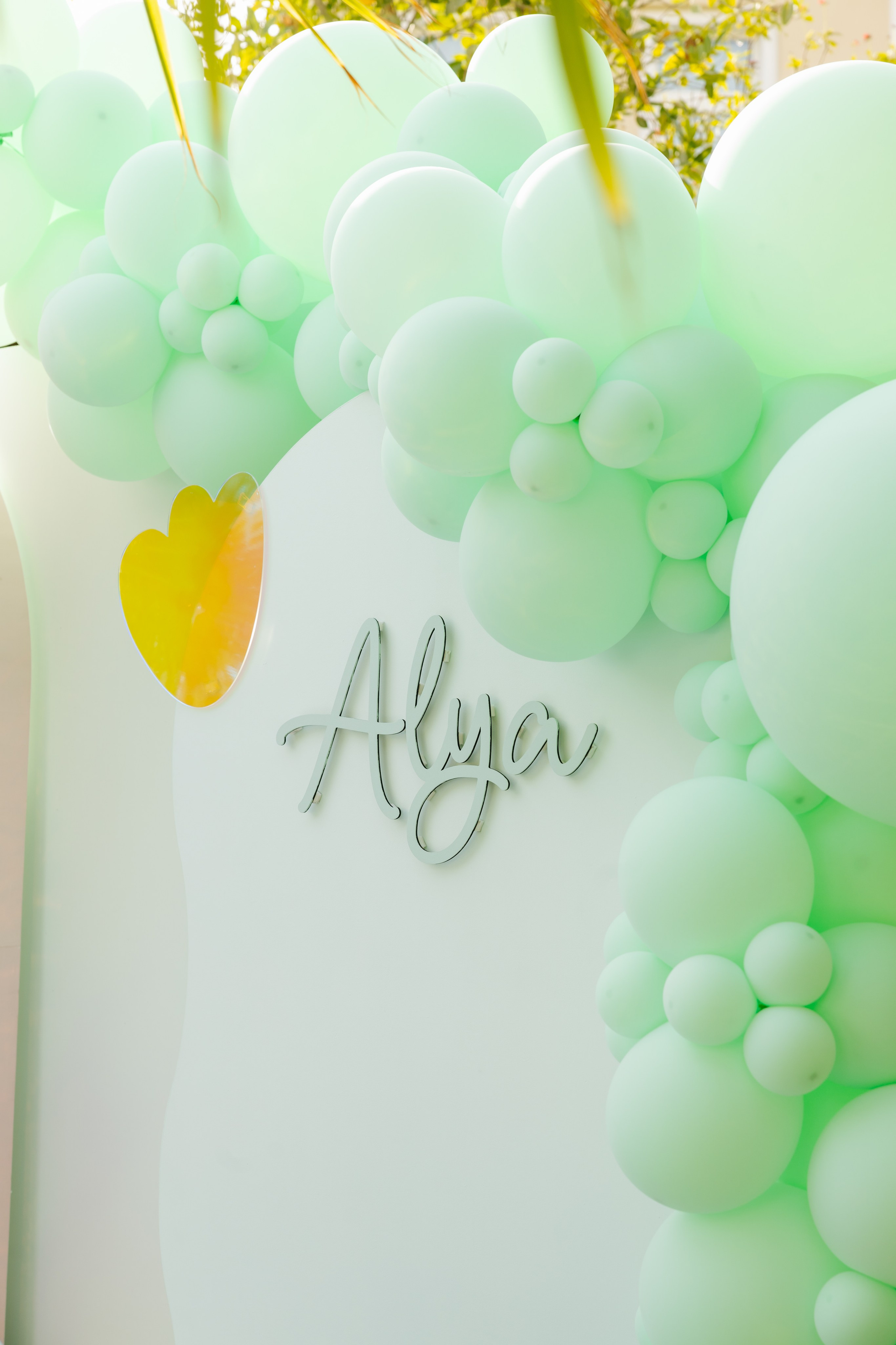 Alya’s 5th Birthday