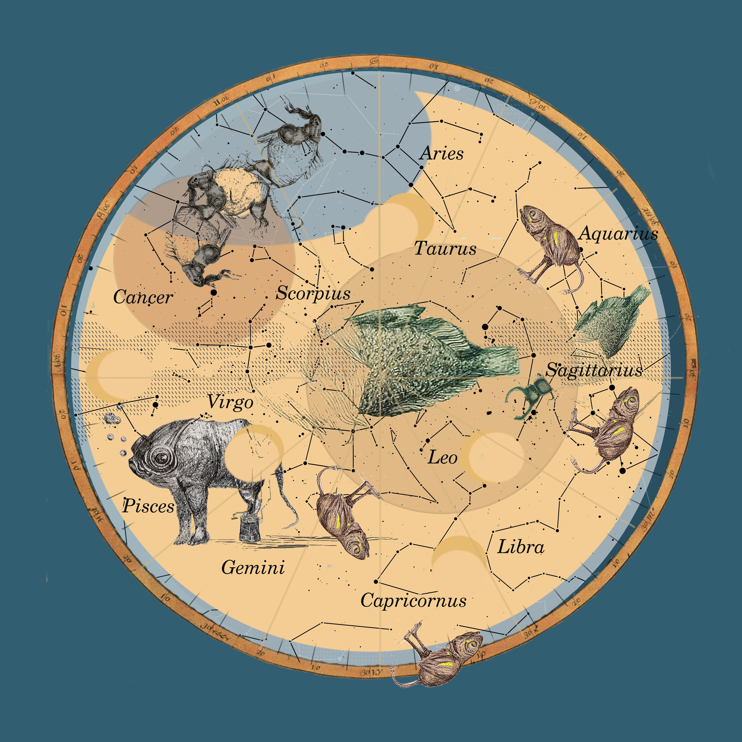 explores the fluid identity of art in the Transaction Age. This work embodies the concept of ever-shifting labels—its title 'jhgfcfvbhnmkmnbgvfcfvbhj' mirrors how goods in transit lose their original names, adopting new warehouse codes at each destination. A visual meditation on how meaning transforms through systems of control, where artworks (like shipped commodities) become defined by their transactional pathways rather than inherent essence.