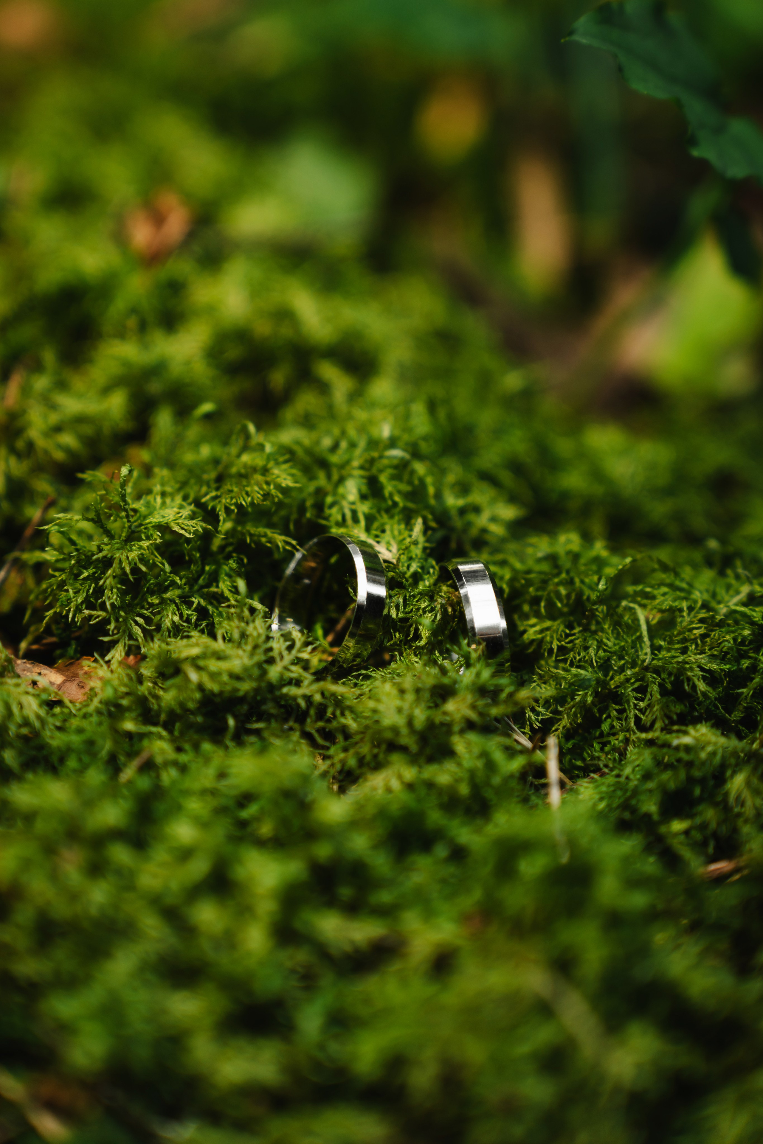 E&S. Montenegro photographer and videographer