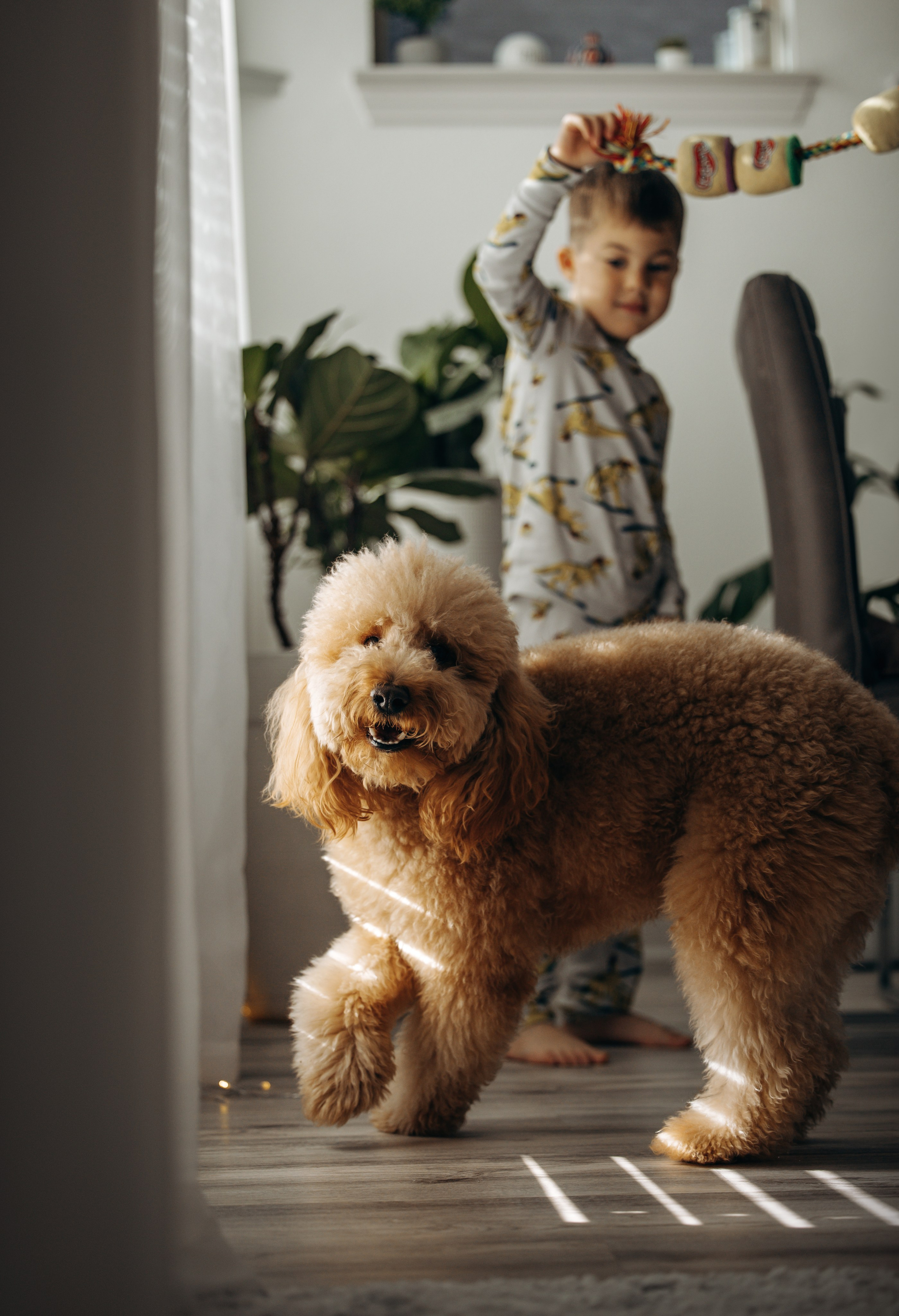 Richie & his Family. Pet Photographer Viktoriya Aleshenko