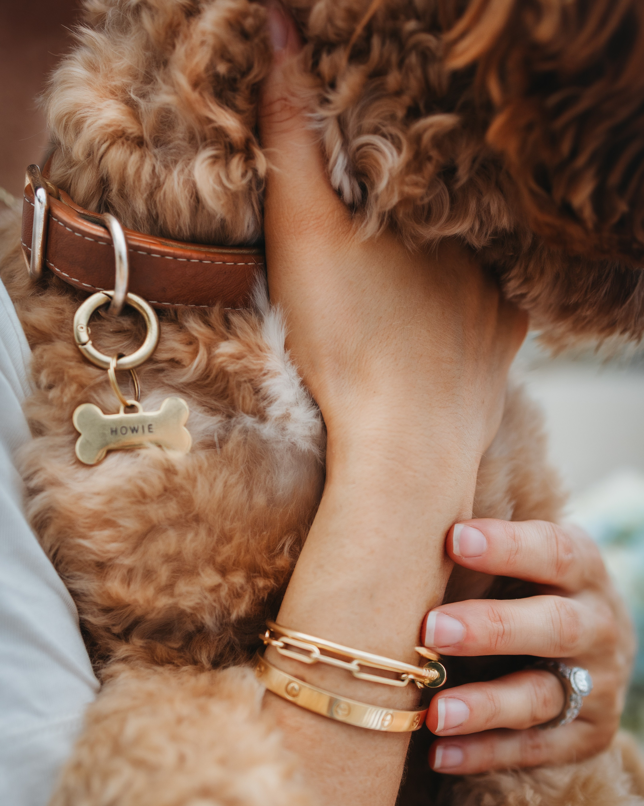 Howie & Callie. Pet Photographer Viktoriya Aleshenko