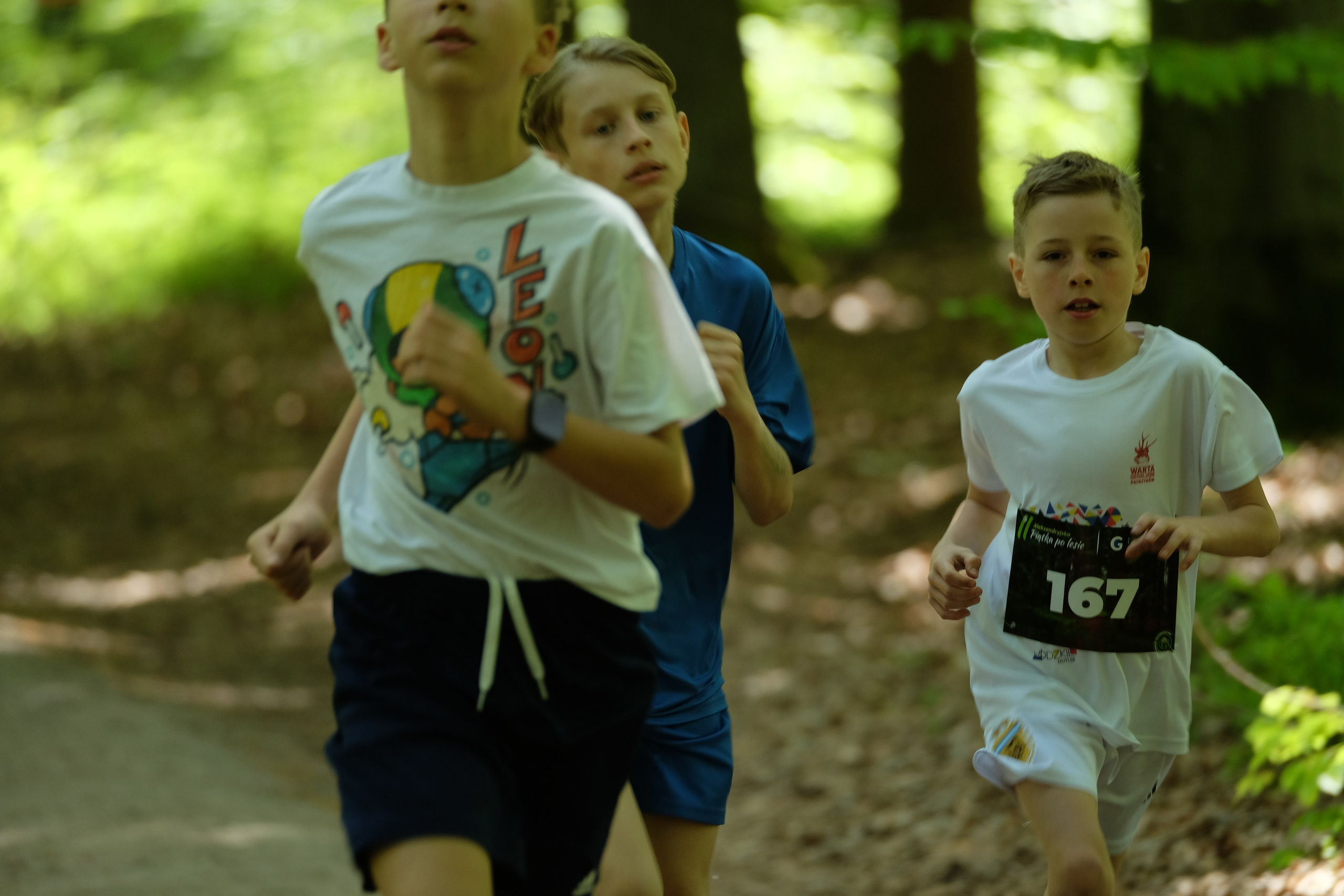 Aleksandryjska Piątka po lesie. Main
