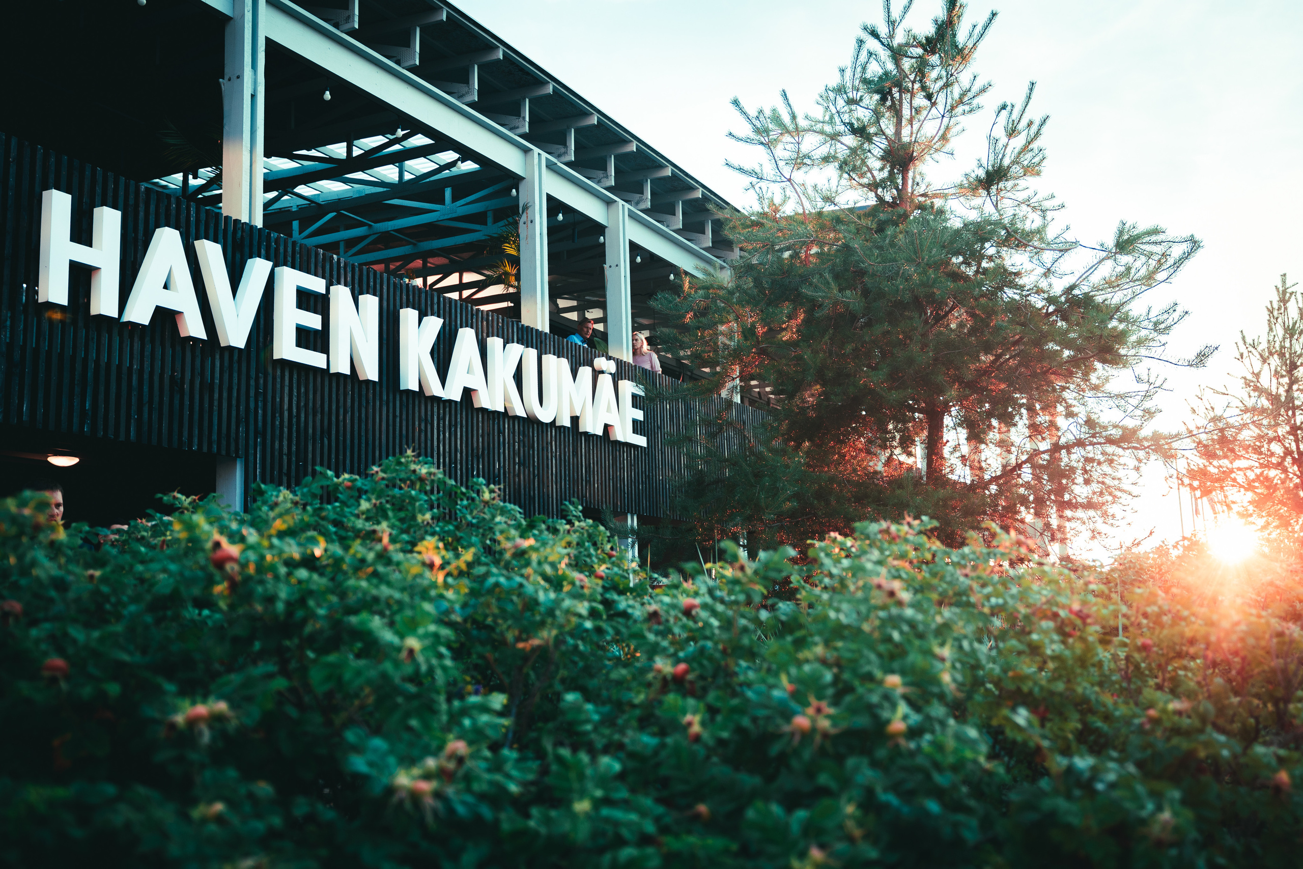 Smilers. Pulmavideograaf I Pulmafotograaf I Pulmavideo I Pulmafoto Eestis