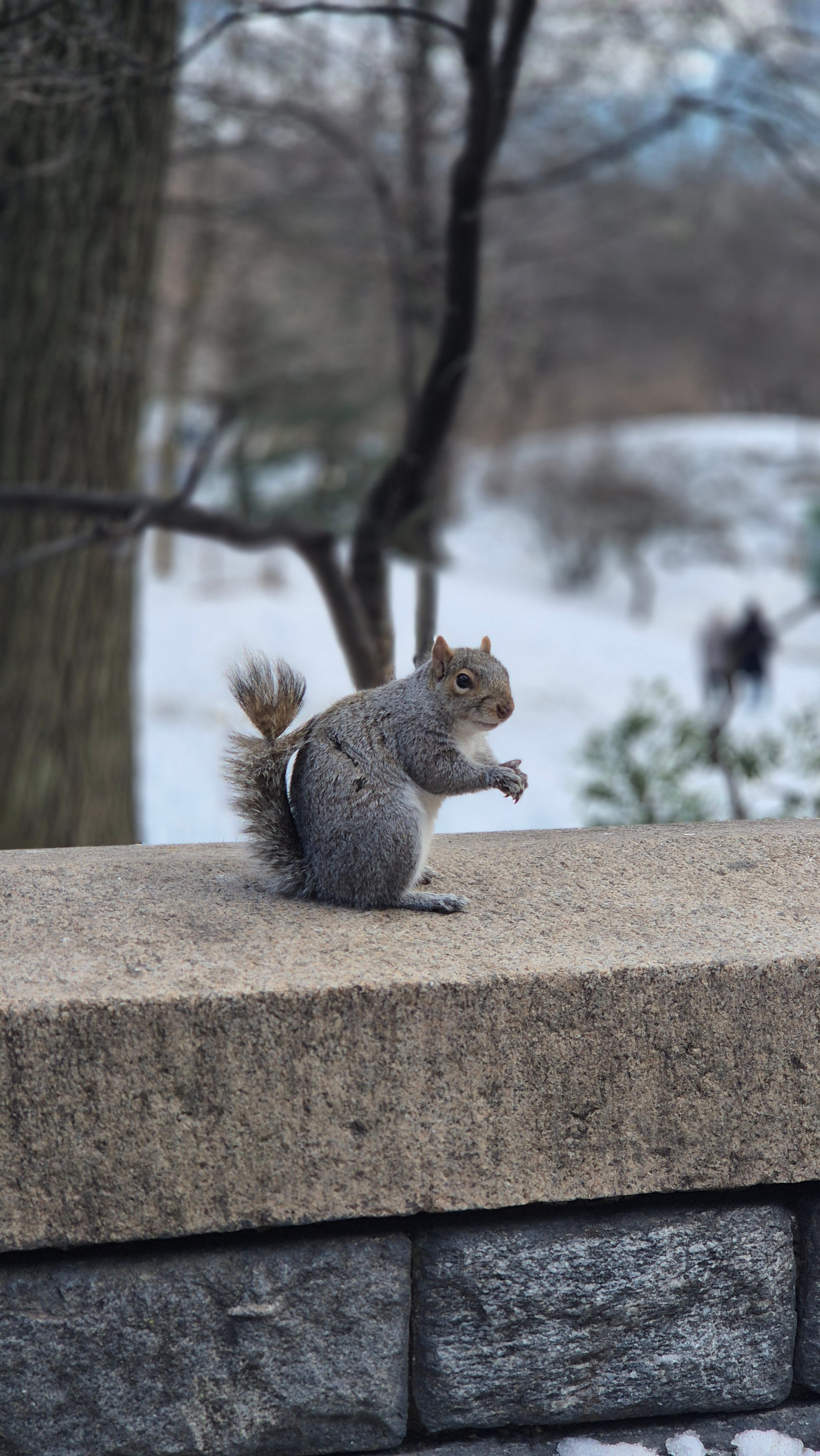 New York 2026. Photographer Marina, city of Nuremberg