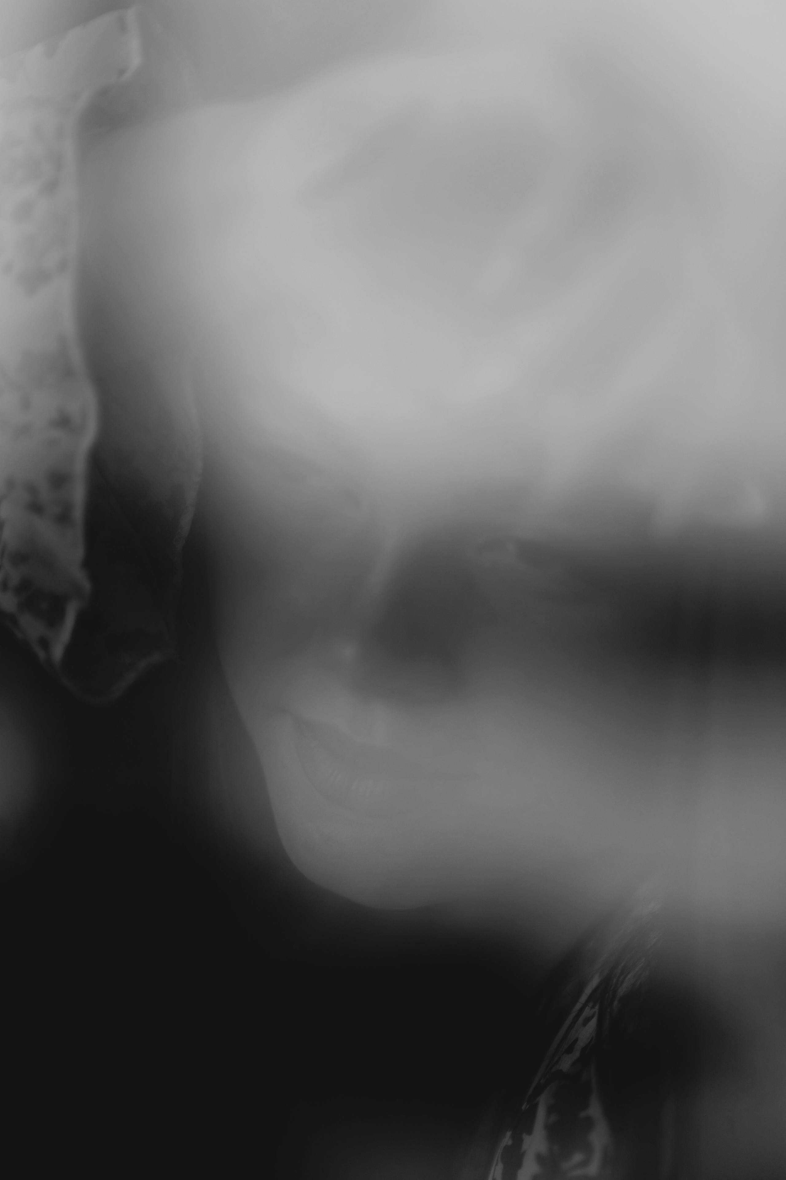 Честит Рожден Ден. Фотограф Ирина Йотова