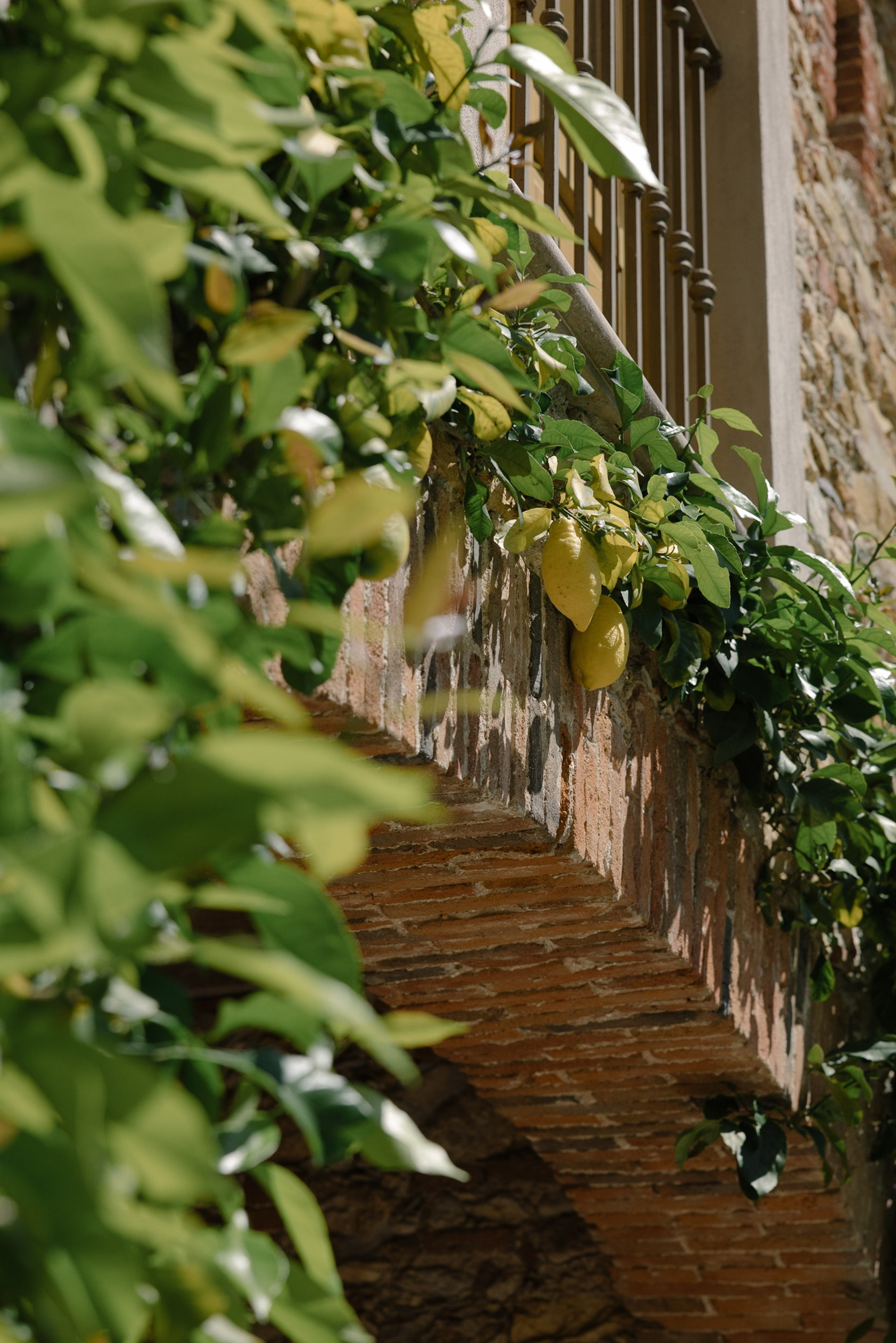 Melissa&Obaid. Wedding photographer Italy