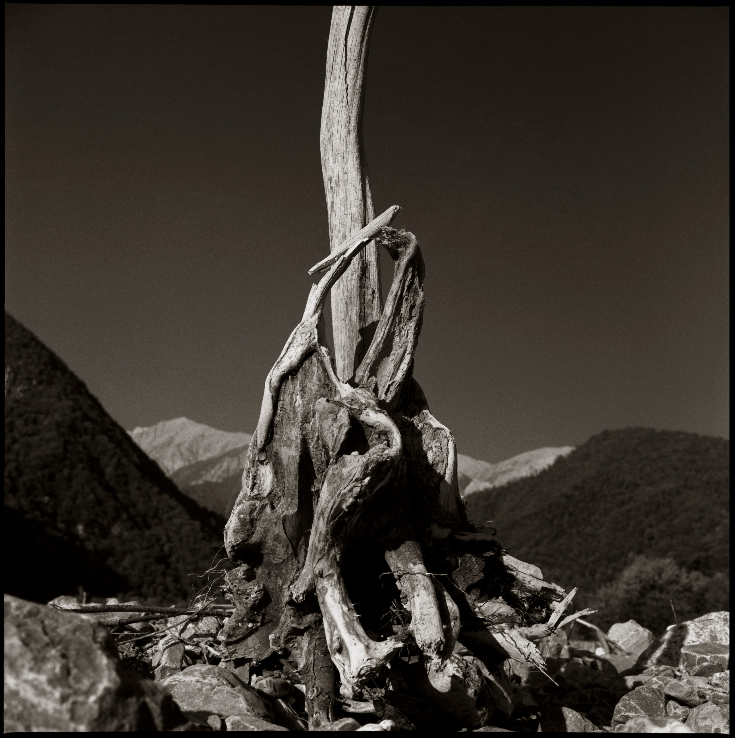 NATURE. Www.sananaleskerov.com