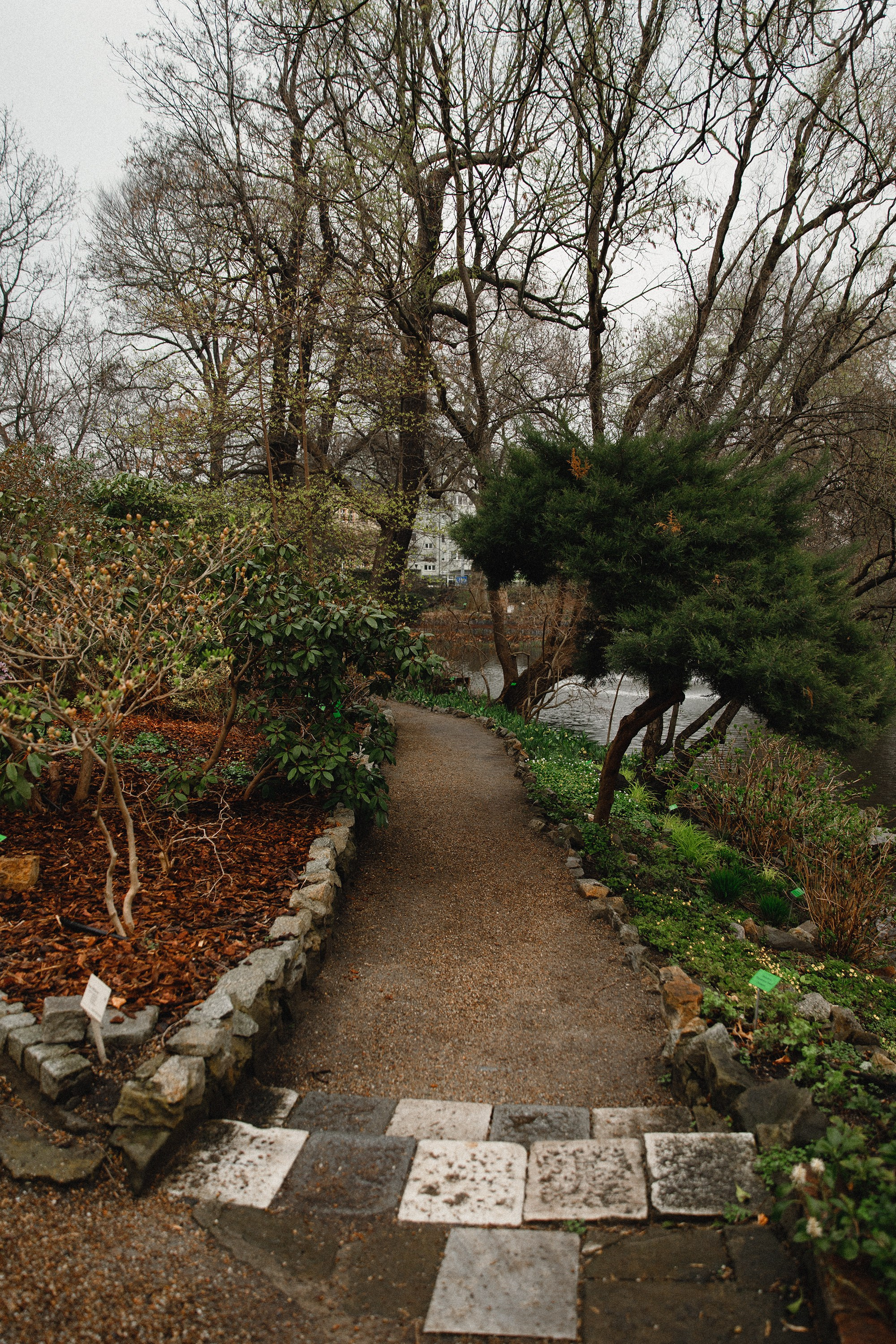 Botanical garden in Wroclaw. Kaja | fotograf we Wrocławiu | ludzie i psy