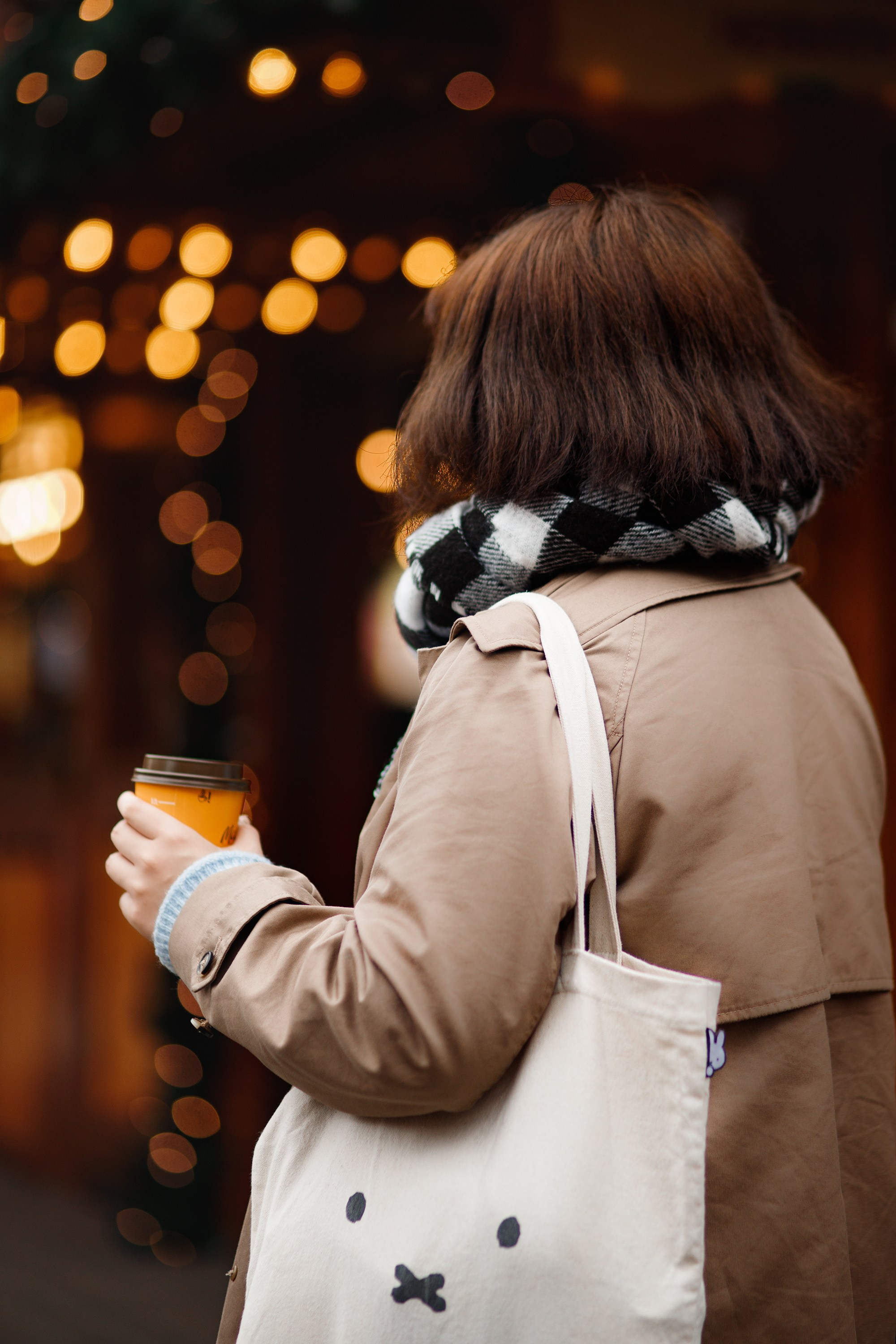 Misaki at christmas market. Kaja | fotograf psów we Wrocławiu