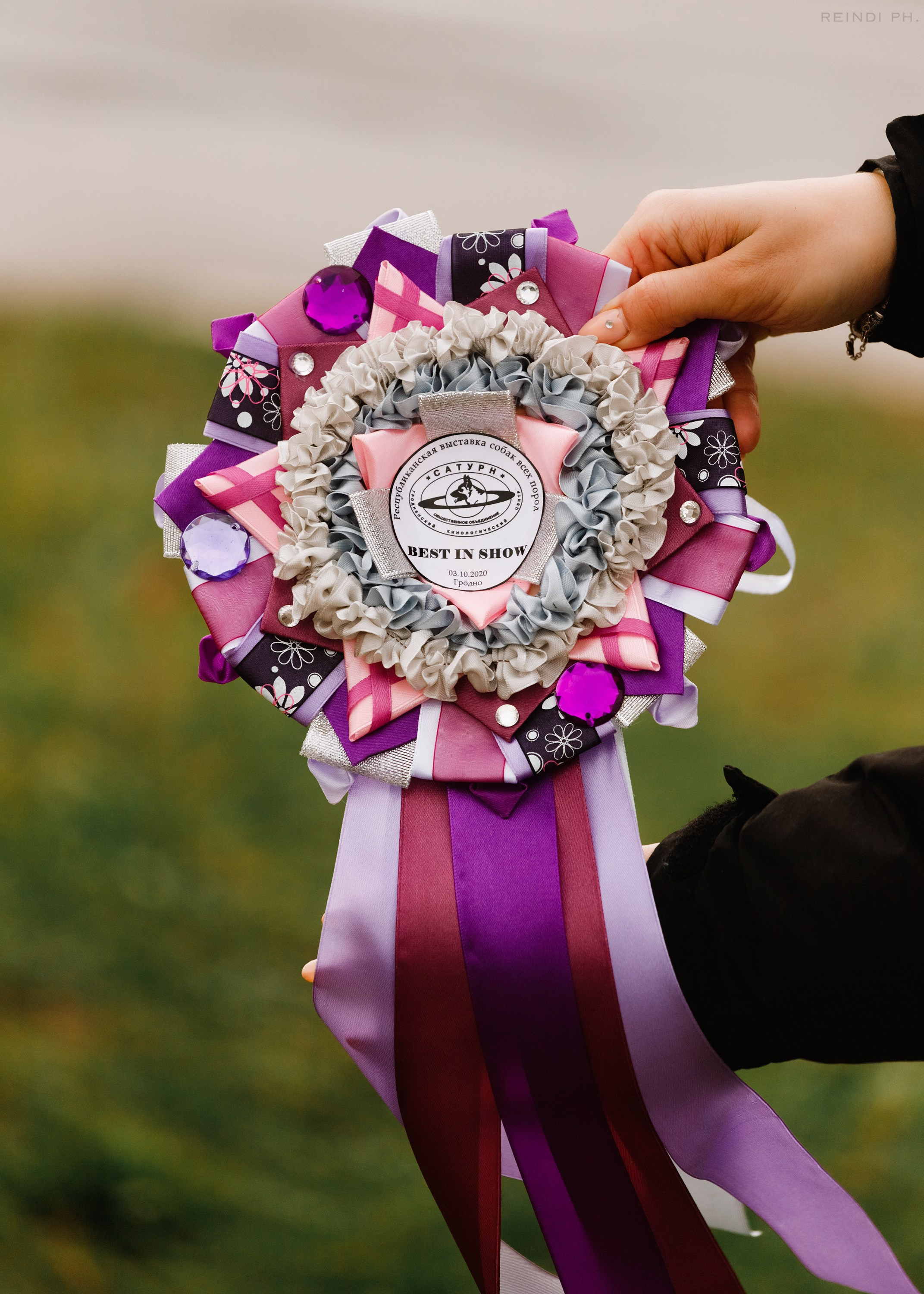 Rainy dog show in Grodno. Kaja | fotograf we Wrocławiu | ludzie i psy