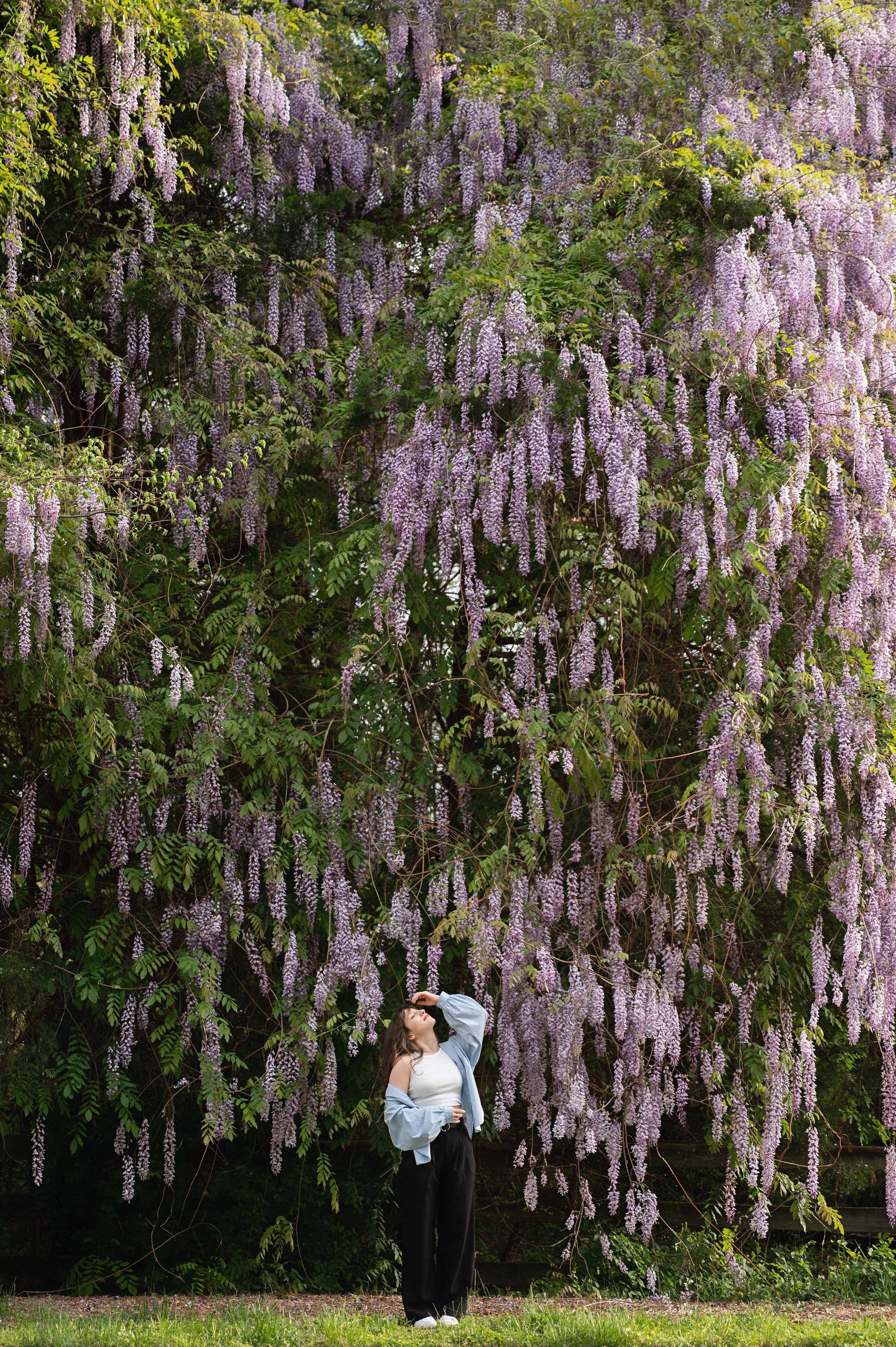 Family/ personal. In-home newborn photography Raleigh & area Katya Kulikova