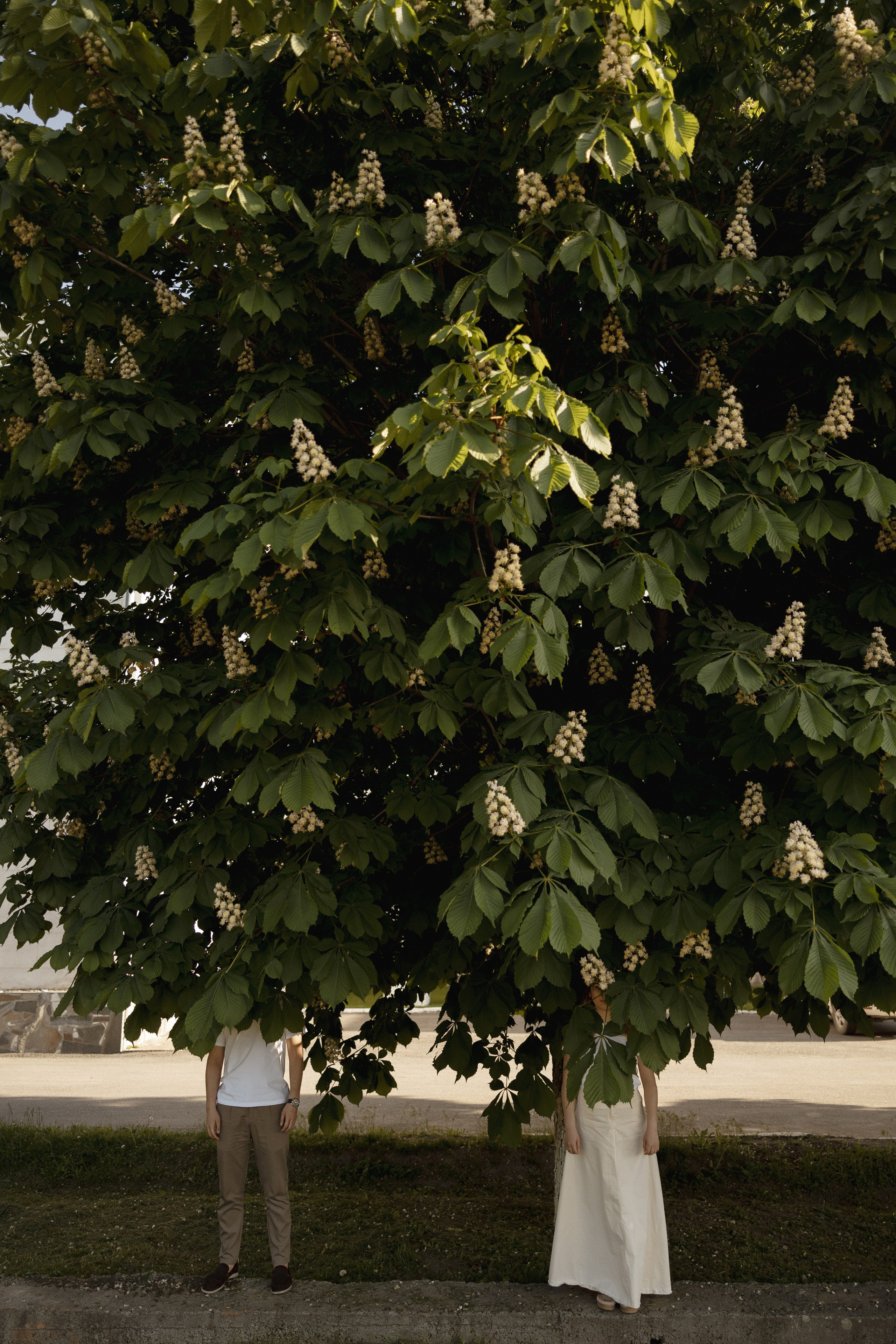 Медер и Айжан. Азимжан Нуритдинходжаев — свадебный фотограф