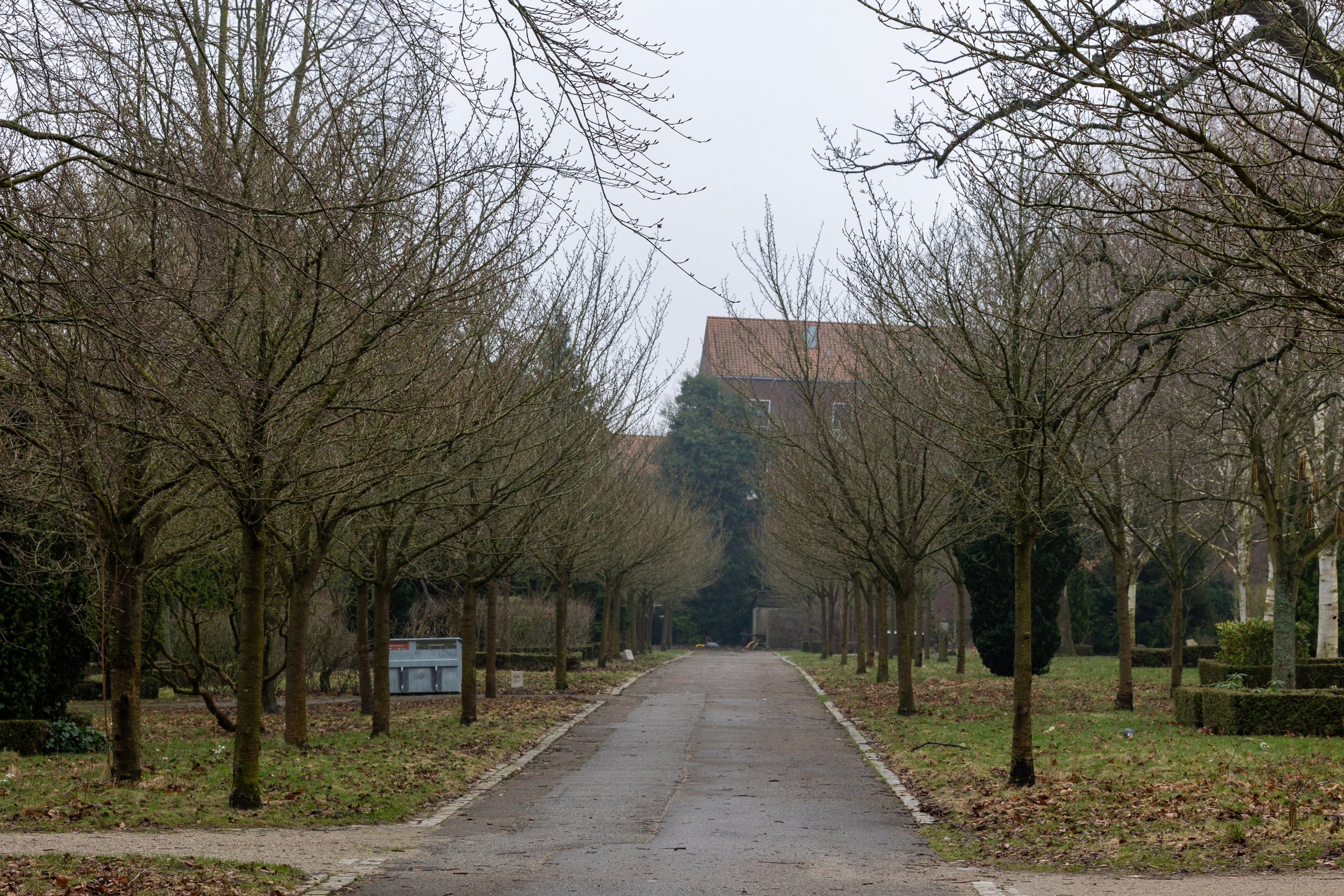 Forår. Fotograf Aarhus | Portrætfoto Århus | Flotte billeder