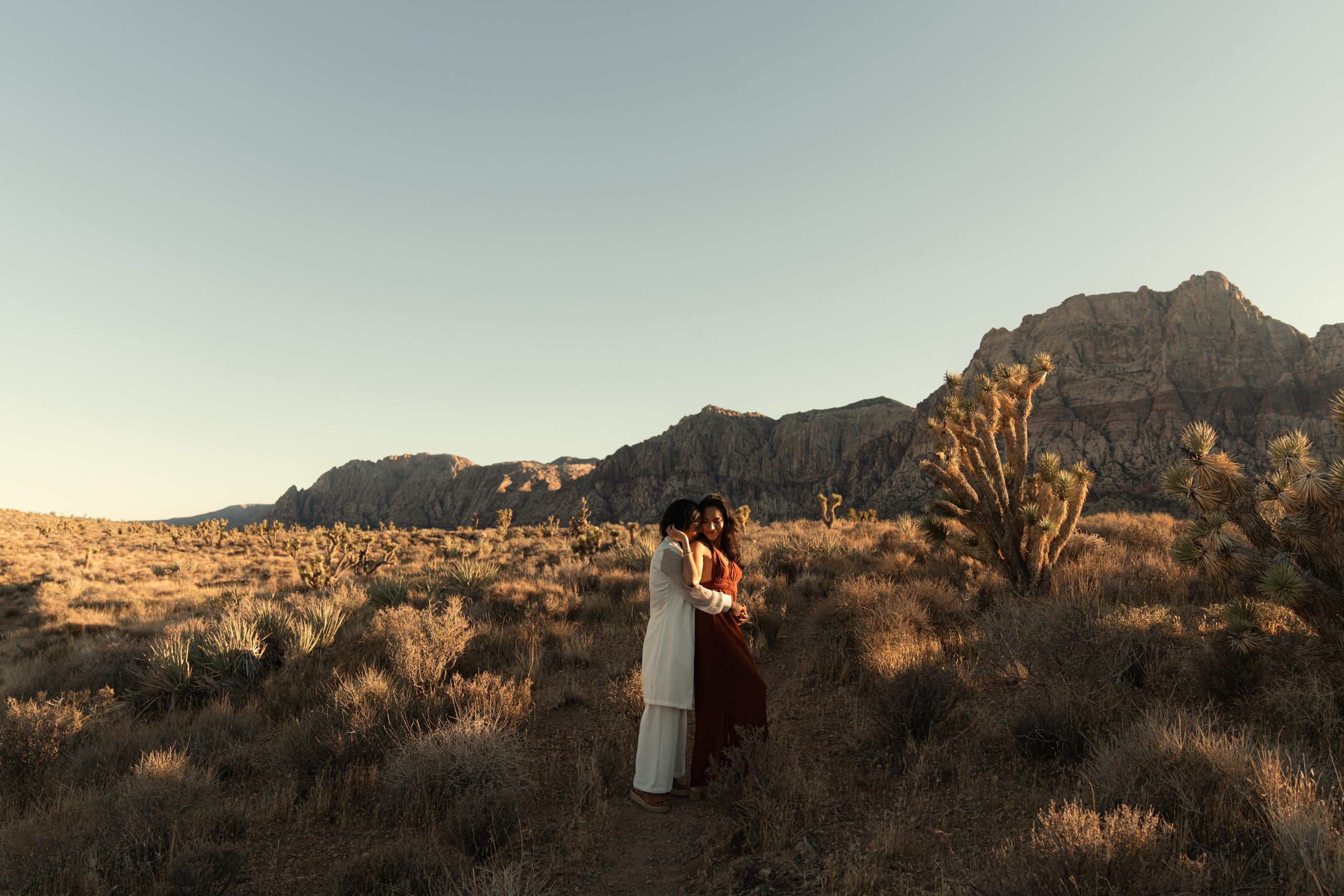 Liz&Fatima. Wedding & elopement photographer Viktoriya Kravtsov. Las Vegas