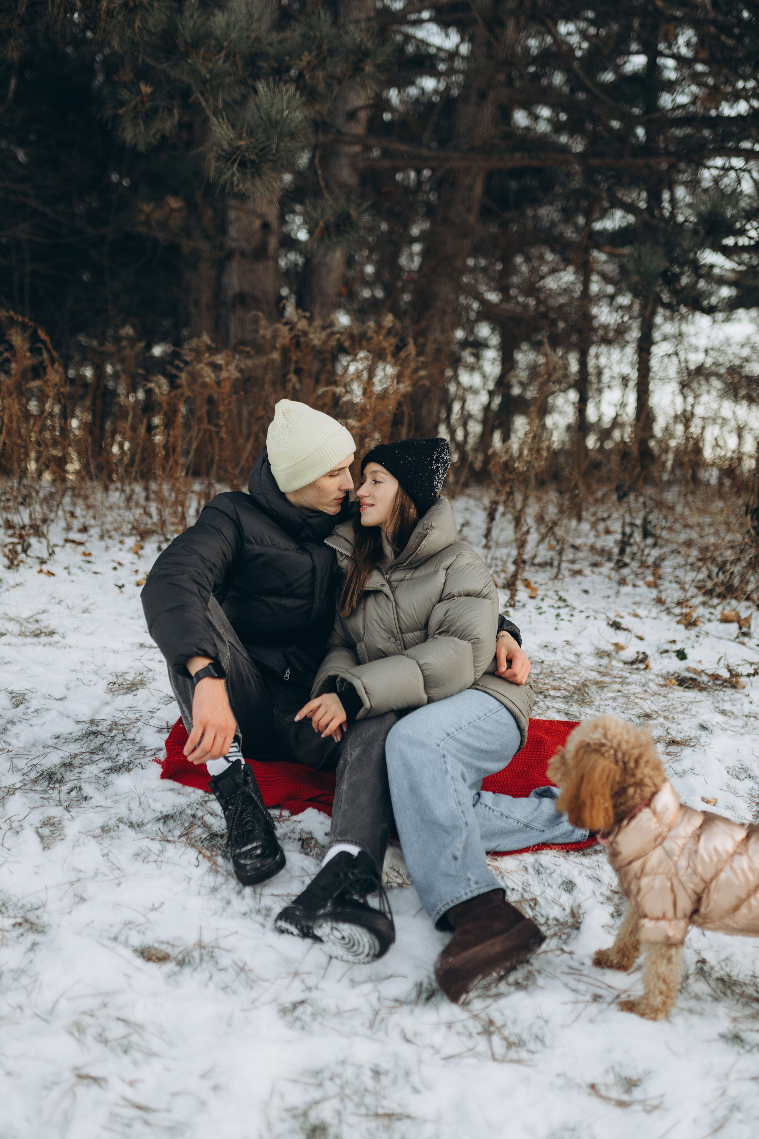 Winter magic. Chernenko.photography
