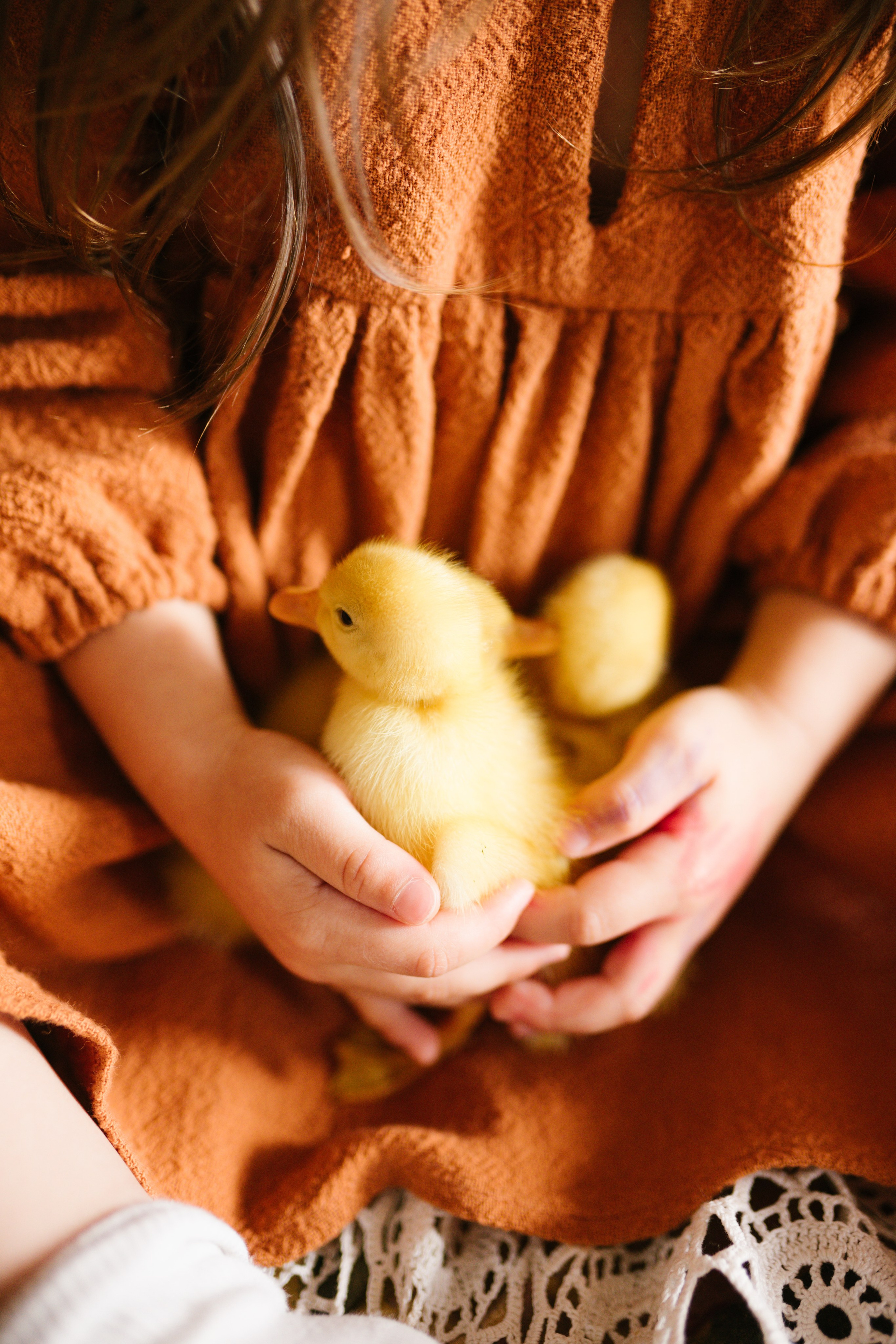 Ședințe Foto de Paște Brașov: Gălbenuș | Mădălina Beda. Madalina Beda- Artist vizual, fotograf, doula la nastere, consultant babywearing Brasov si in toata tara