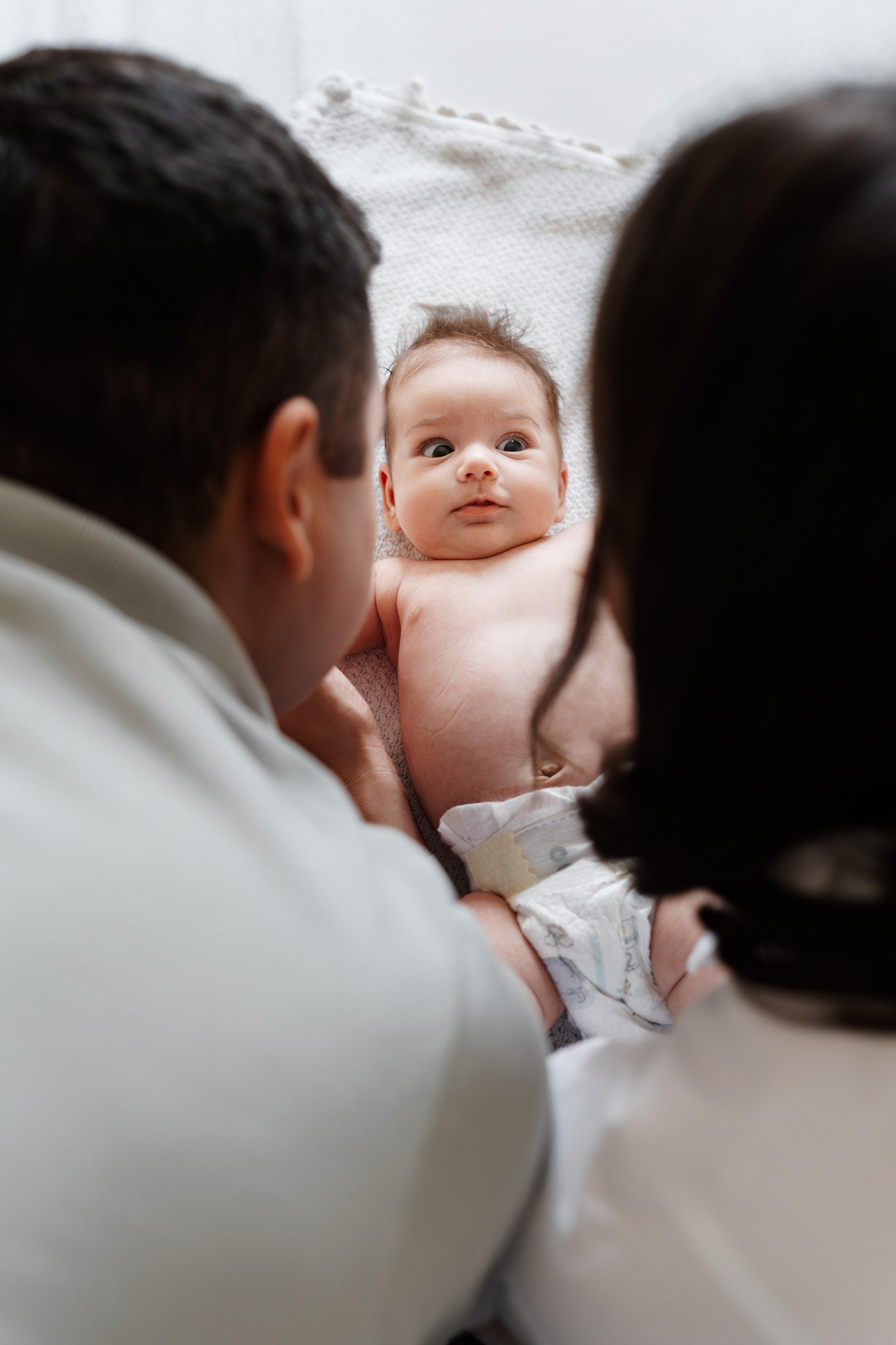 Pet. Profesionalna Fotografija Beograd — Staša Komatina