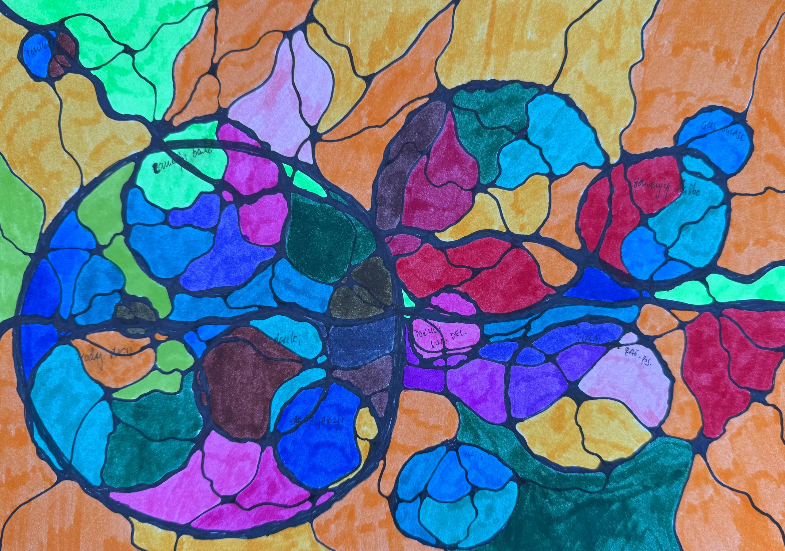 Nevrografika. Numerologija. Nevrografika. Delavnice