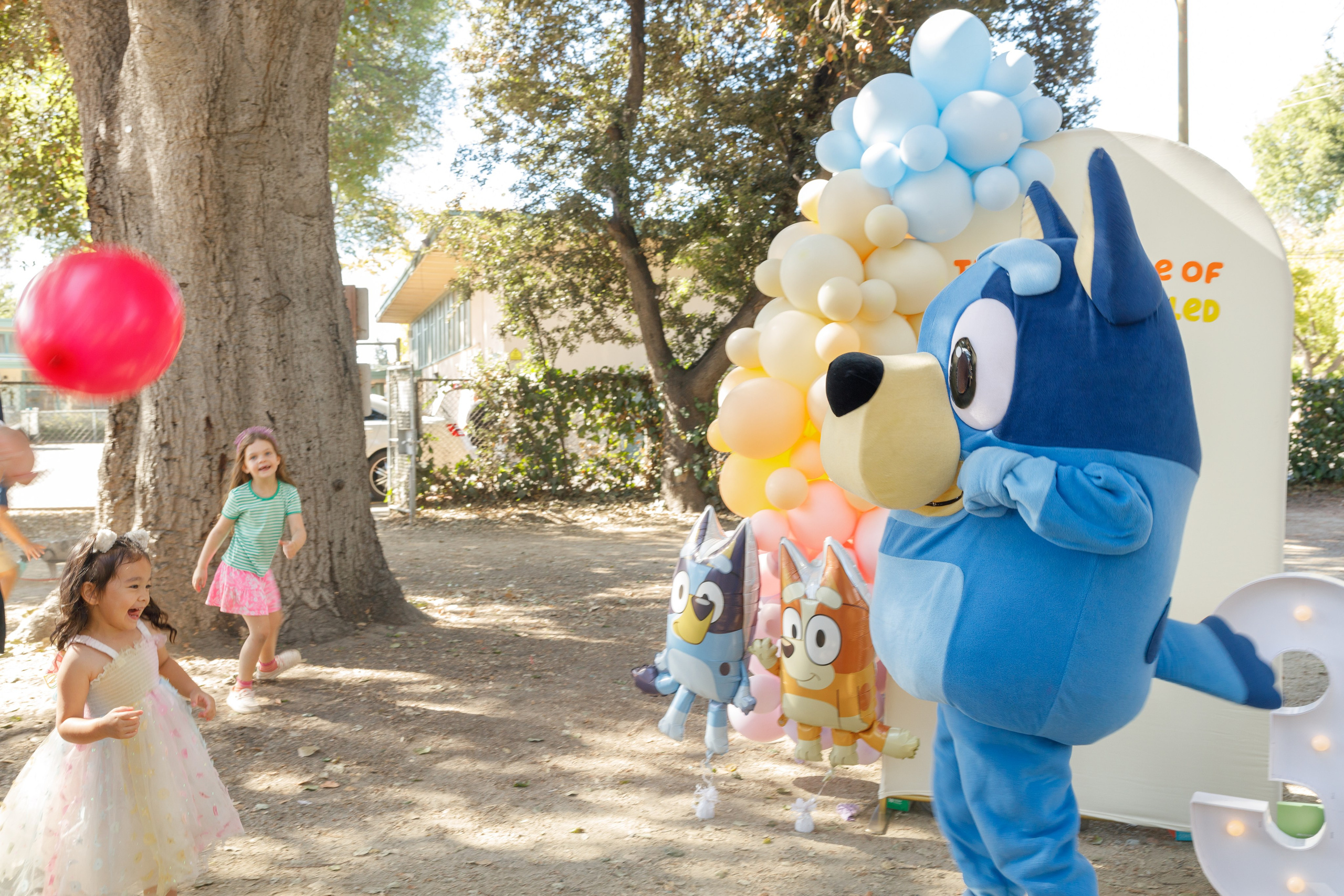 3rd birthday. Family and Event photographer in Bay Area Elena Tiuriumina