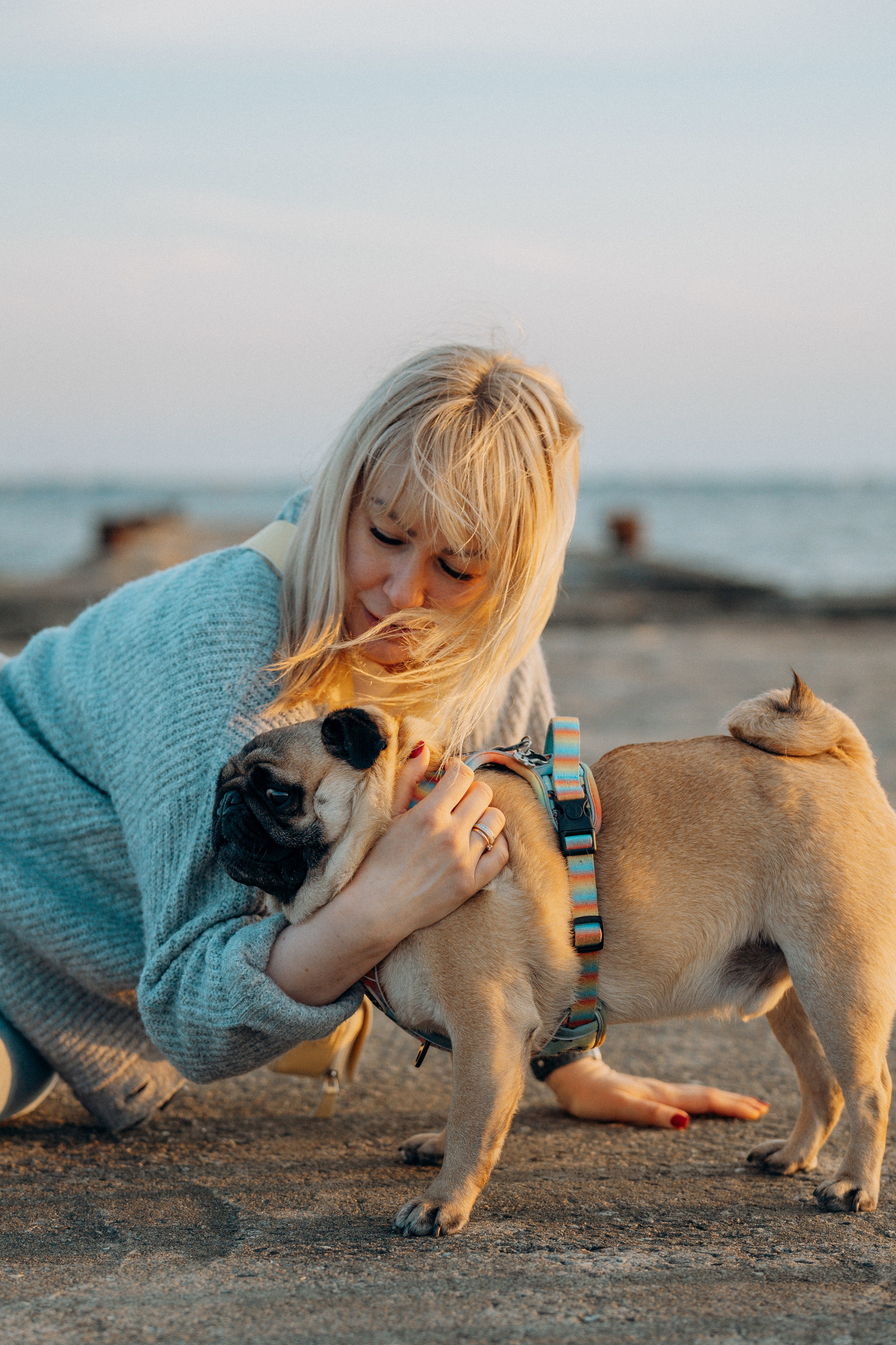 Frank, Tony, Katerina & Lev. Kat Laisaar — Pet photographer in Tallinn